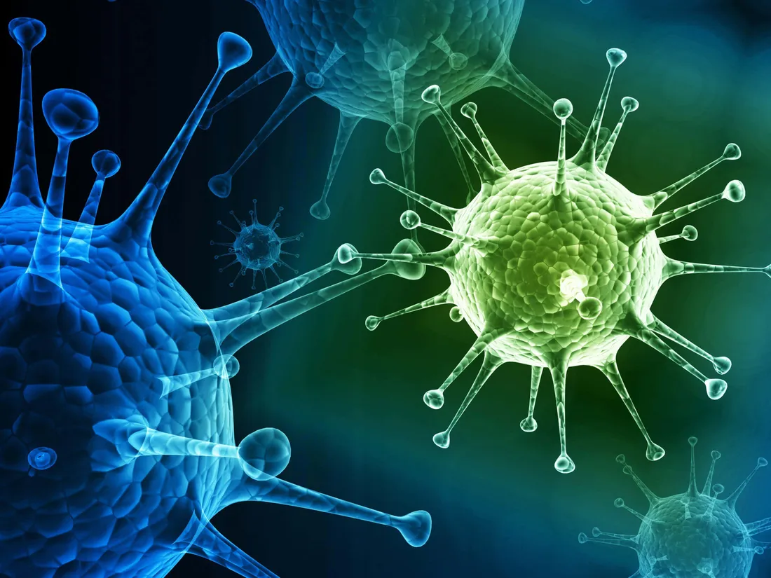 Virus