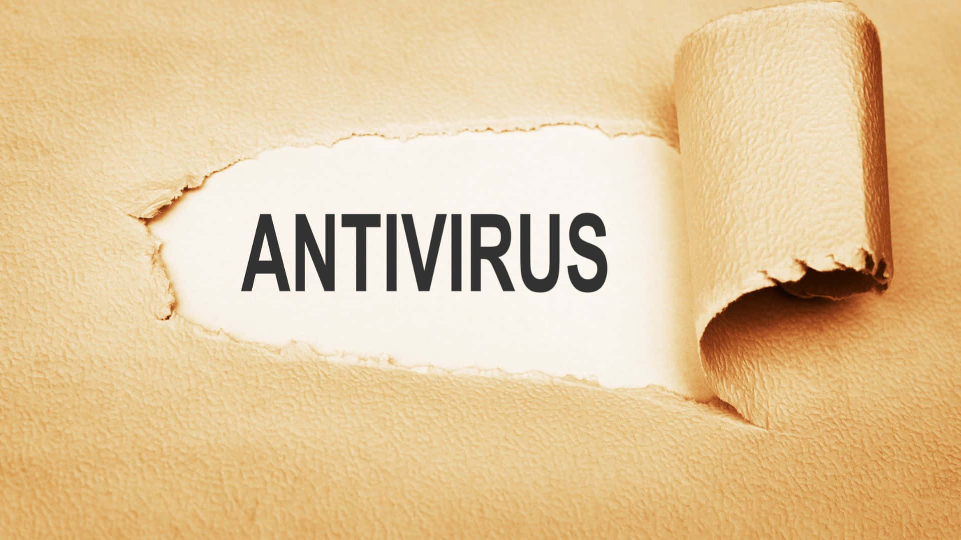 antivirus, beige paper, torn, Full HD Desktop Wallpaper