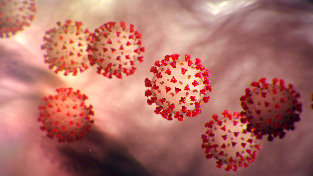 coronavirus, spherical virus particles, red spike proteins, HD Desktop Wallpaper