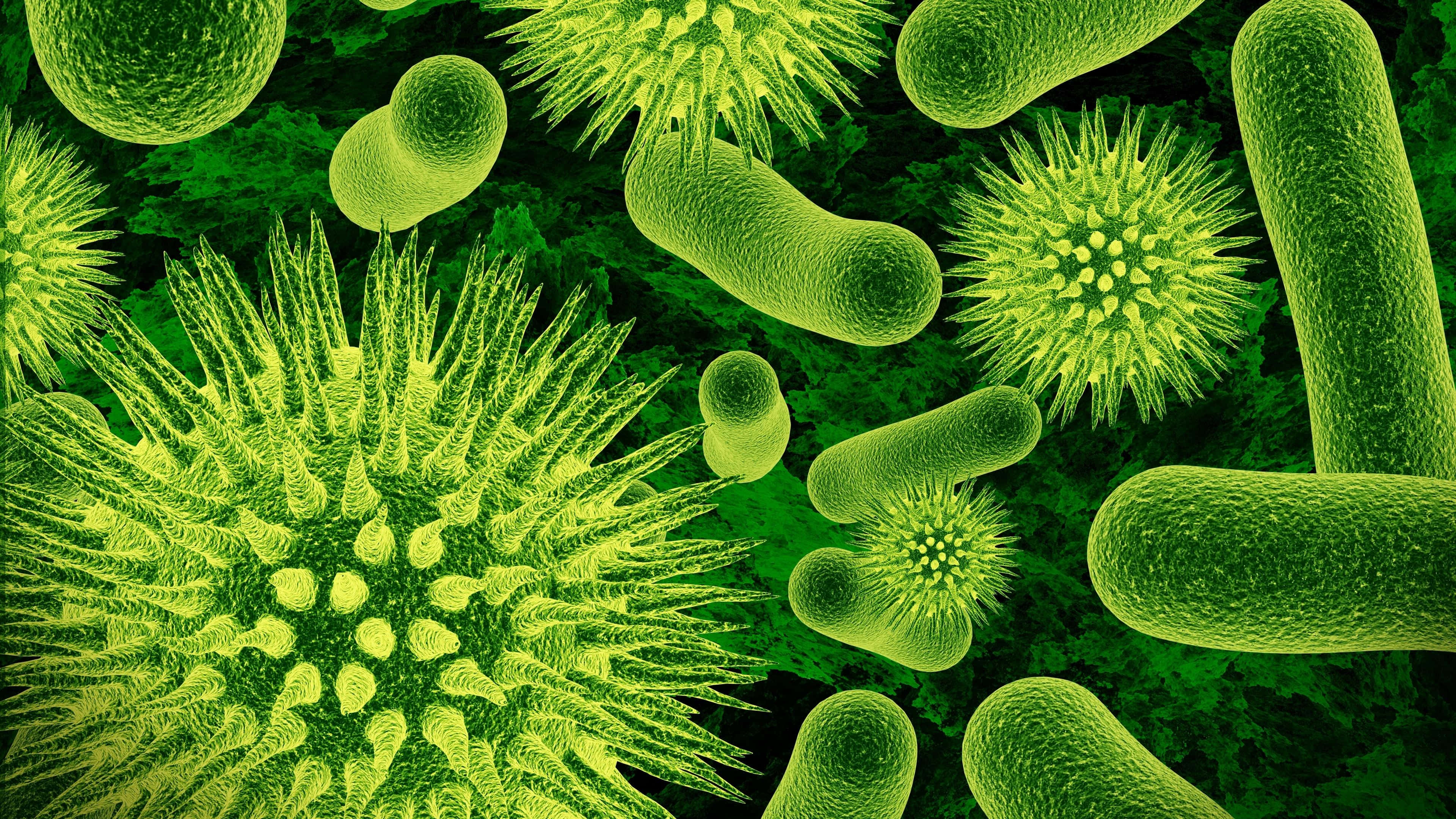 lime green, spiky, rod-shaped, 4K Desktop Wallpaper