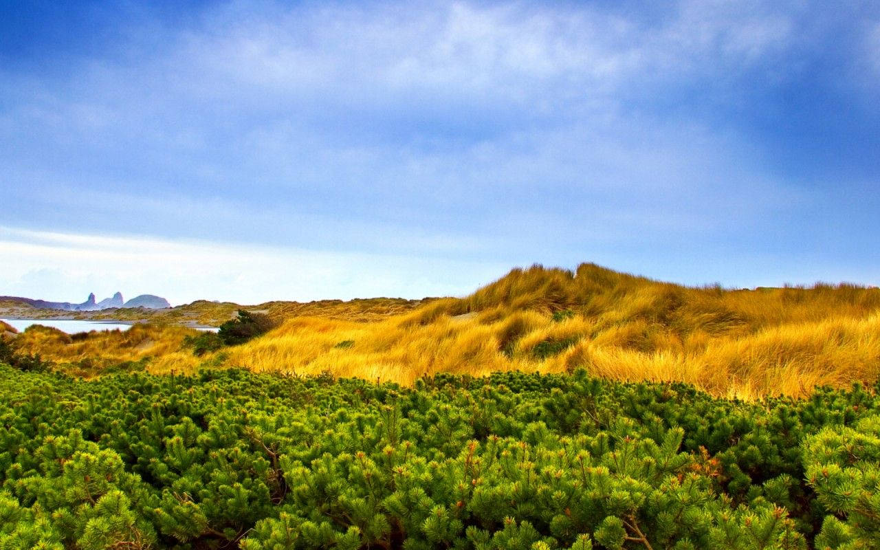 Vista, golden dunes, bright blue sky, HD Desktop Wallpaper