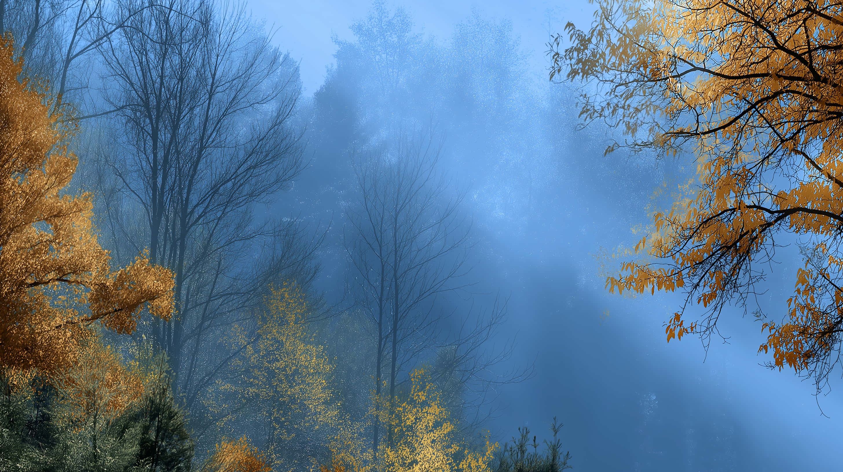 forest canopy, fog, golden autumn leaves, 2K Desktop Wallpaper