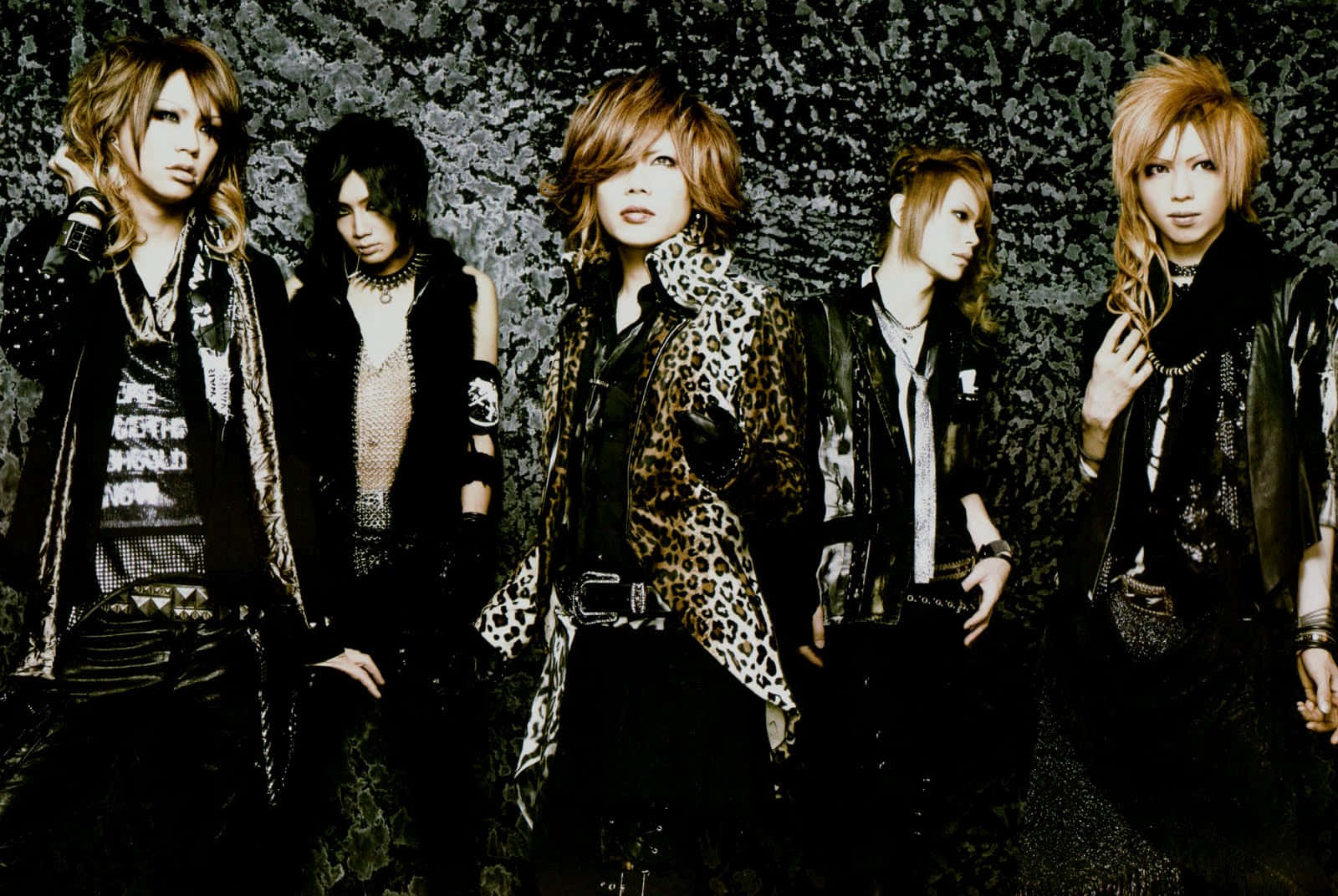 Visual Kei, leopard print, edgy leather, HD Desktop Wallpaper
