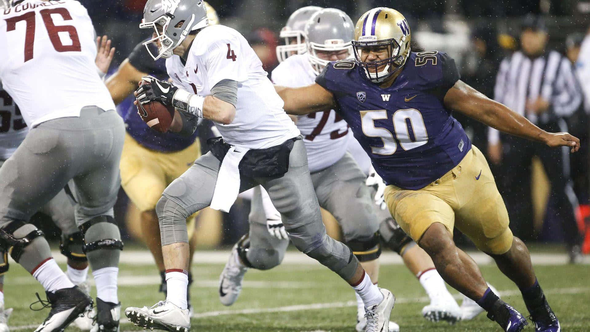Vita Vea, white jersey number 4, purple and gold jersey number 50, Full HD Desktop Wallpaper