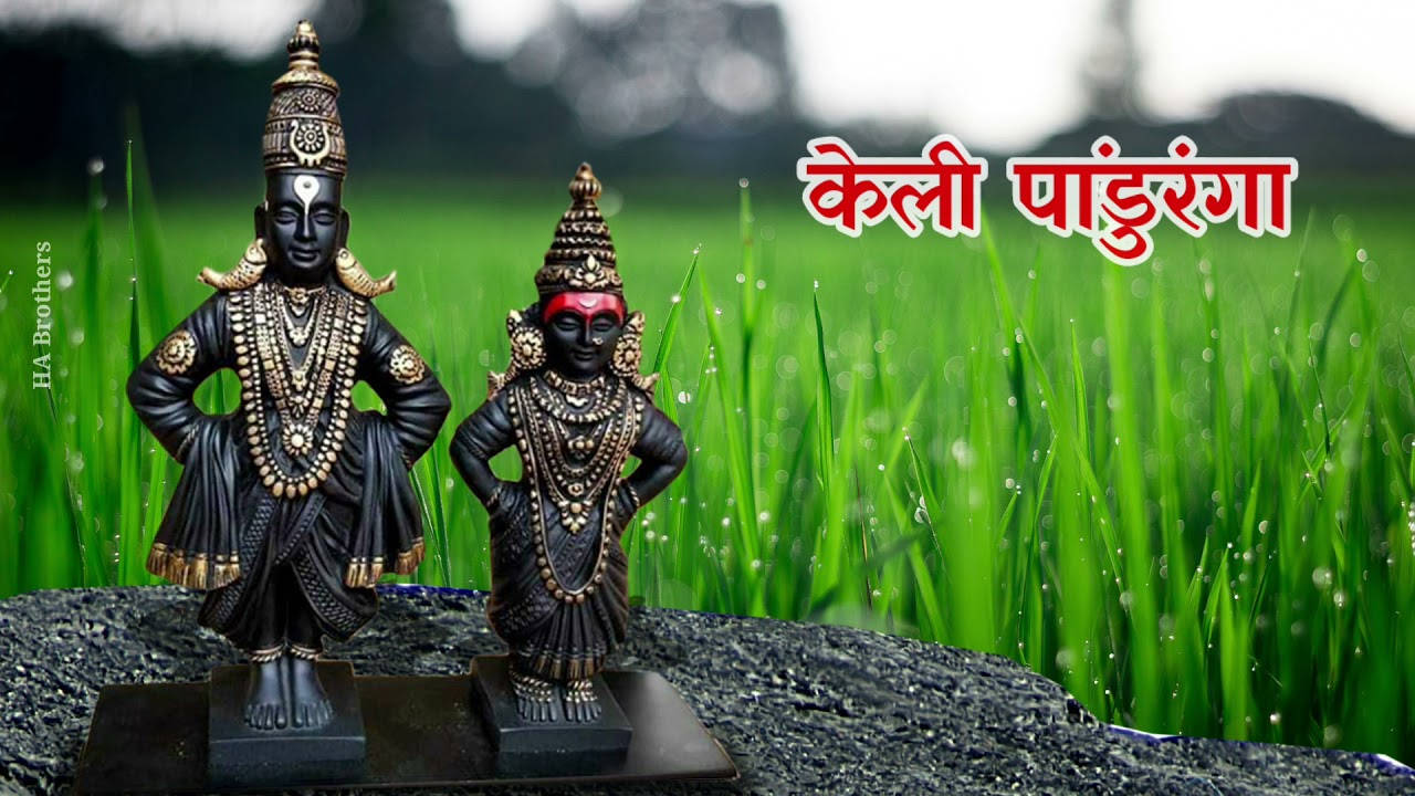 Vitthal Rukmini, black and gold Hindu deity statues, dewy green grass field, HD Desktop Wallpaper