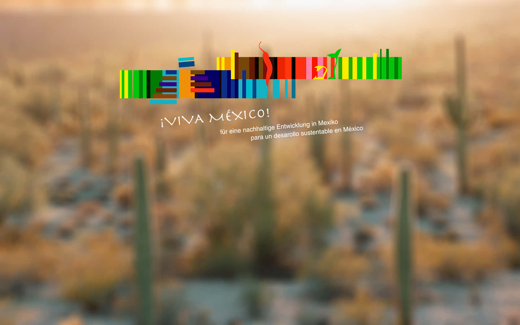 Viva Mexico, cactus, desert scene, HD Desktop Wallpaper