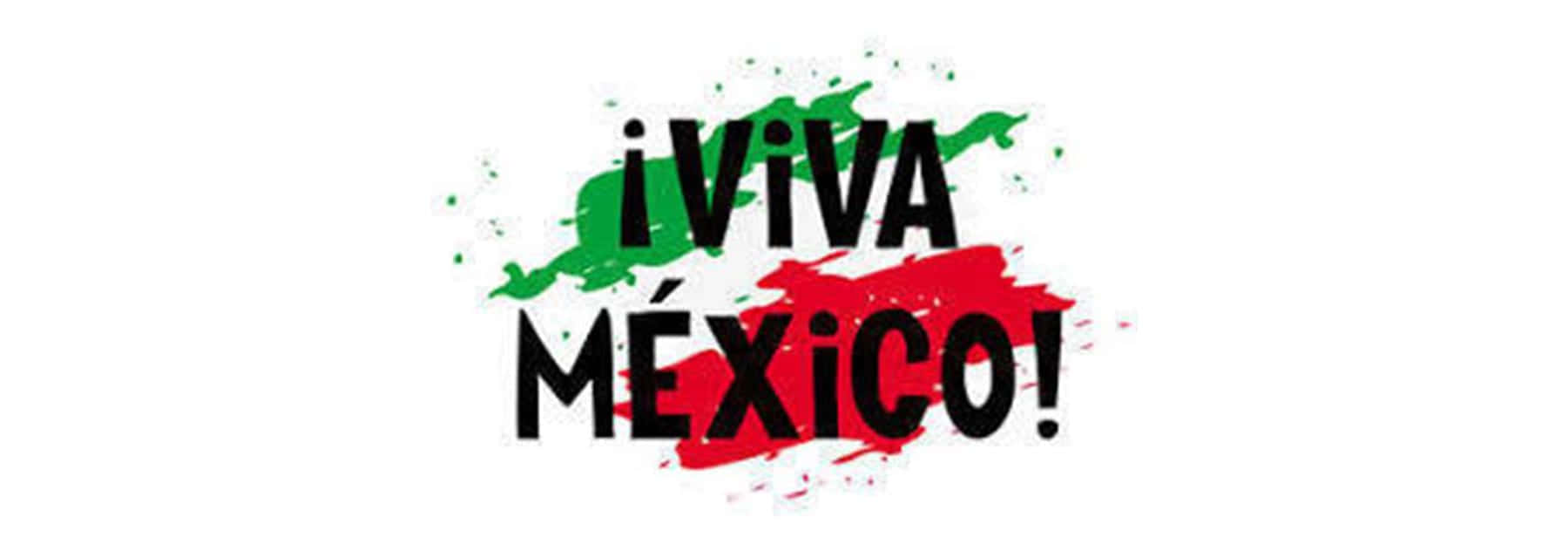 Viva Mexico, black text, white background, HD Desktop Wallpaper