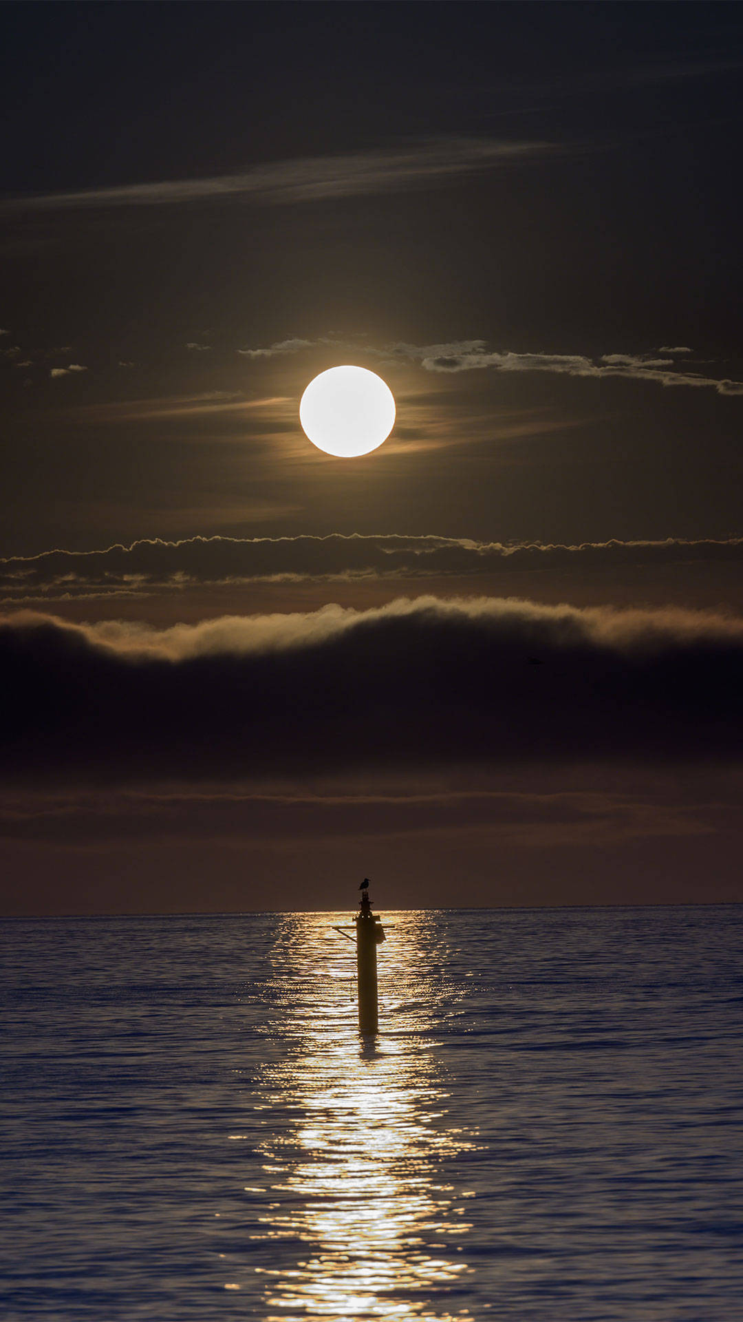 Vivo Y11, ocean, full moon, Full HD Phone Wallpaper