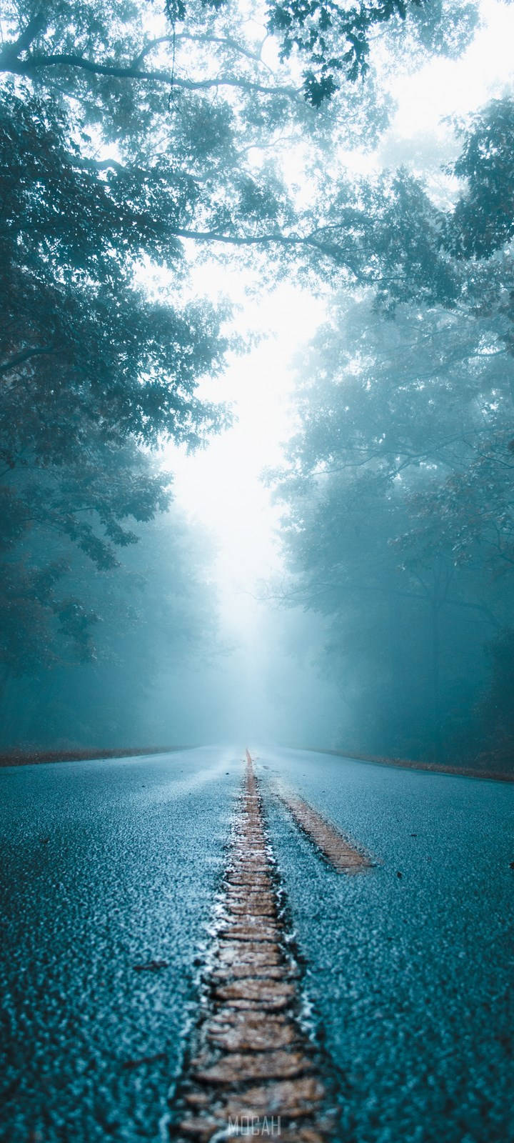Vivo Y11, foggy road, misty forest road, HD Phone Wallpaper