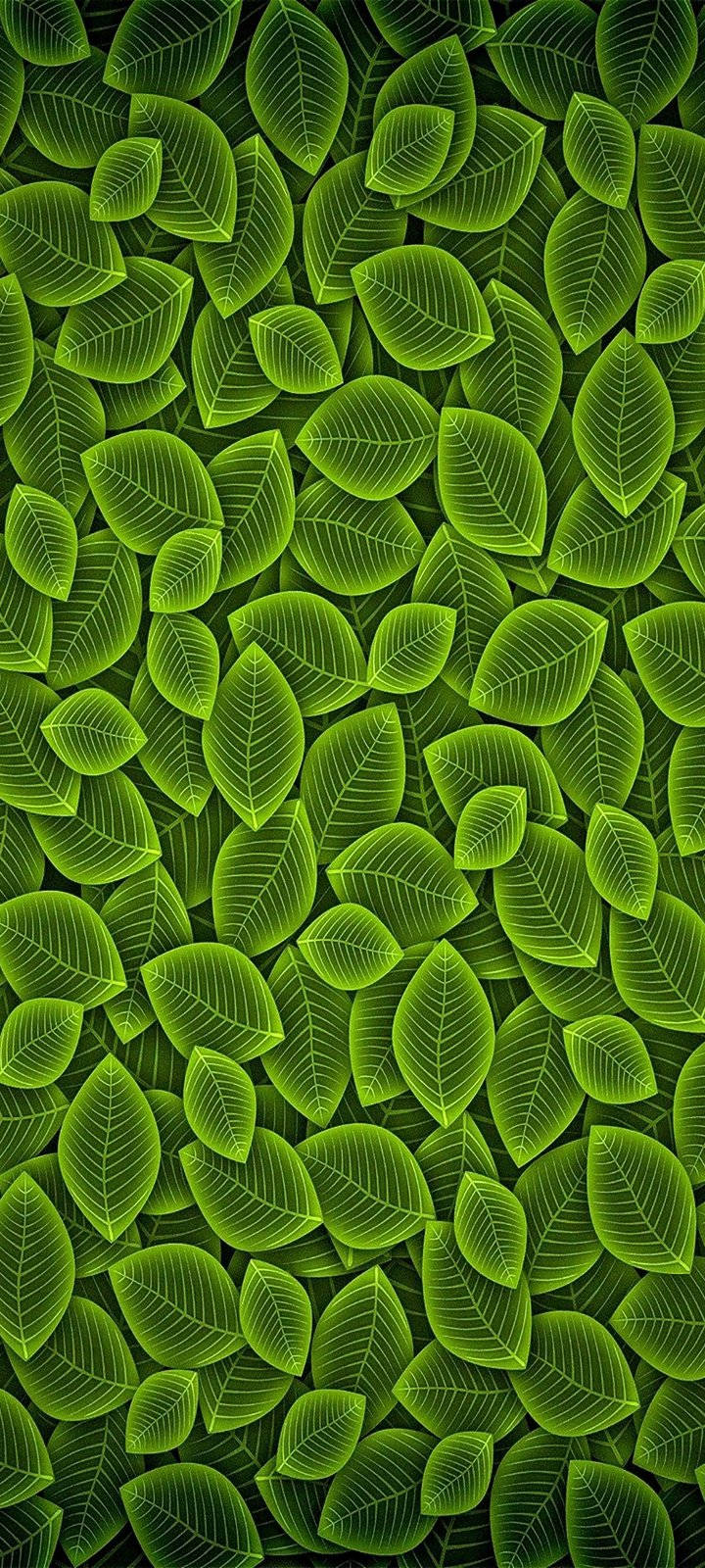 Vivo Y20, green leaf pattern, neon green, HD Phone Wallpaper