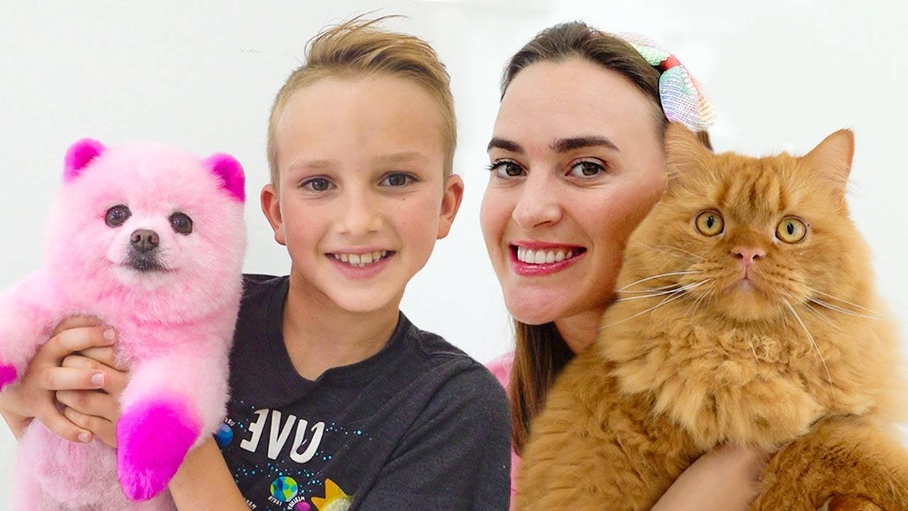 Vlad And Niki, fluffy pink dog, ginger cat, HD Desktop Wallpaper