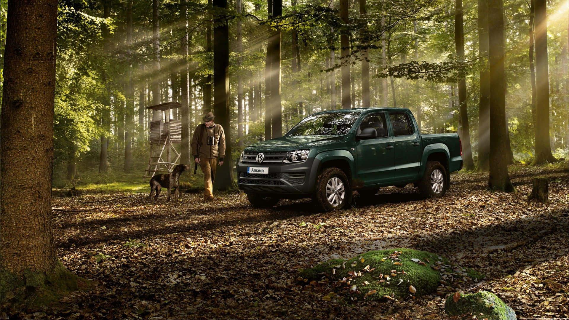 Volkswagen Amarok, green, sunlit forest, Full HD Desktop Wallpaper
