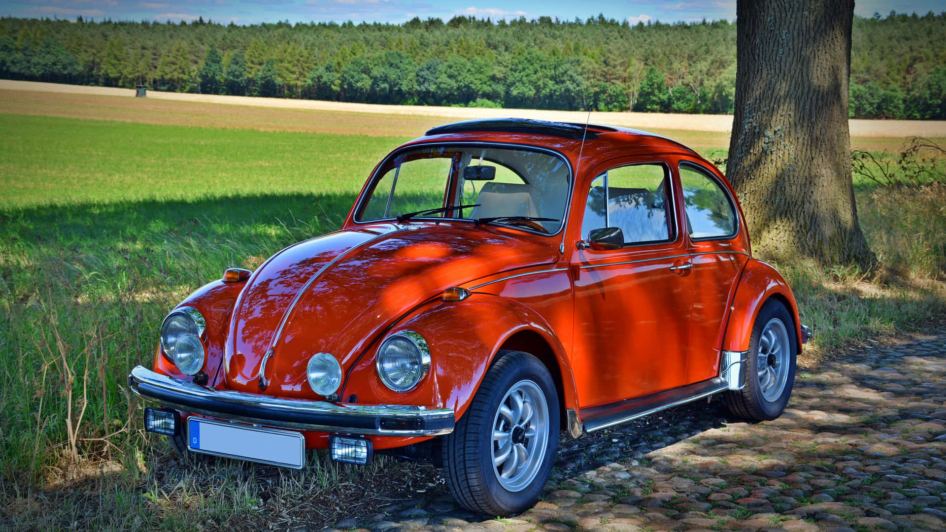 Volkswagen Beetle, red, vintage, Full HD Desktop Wallpaper