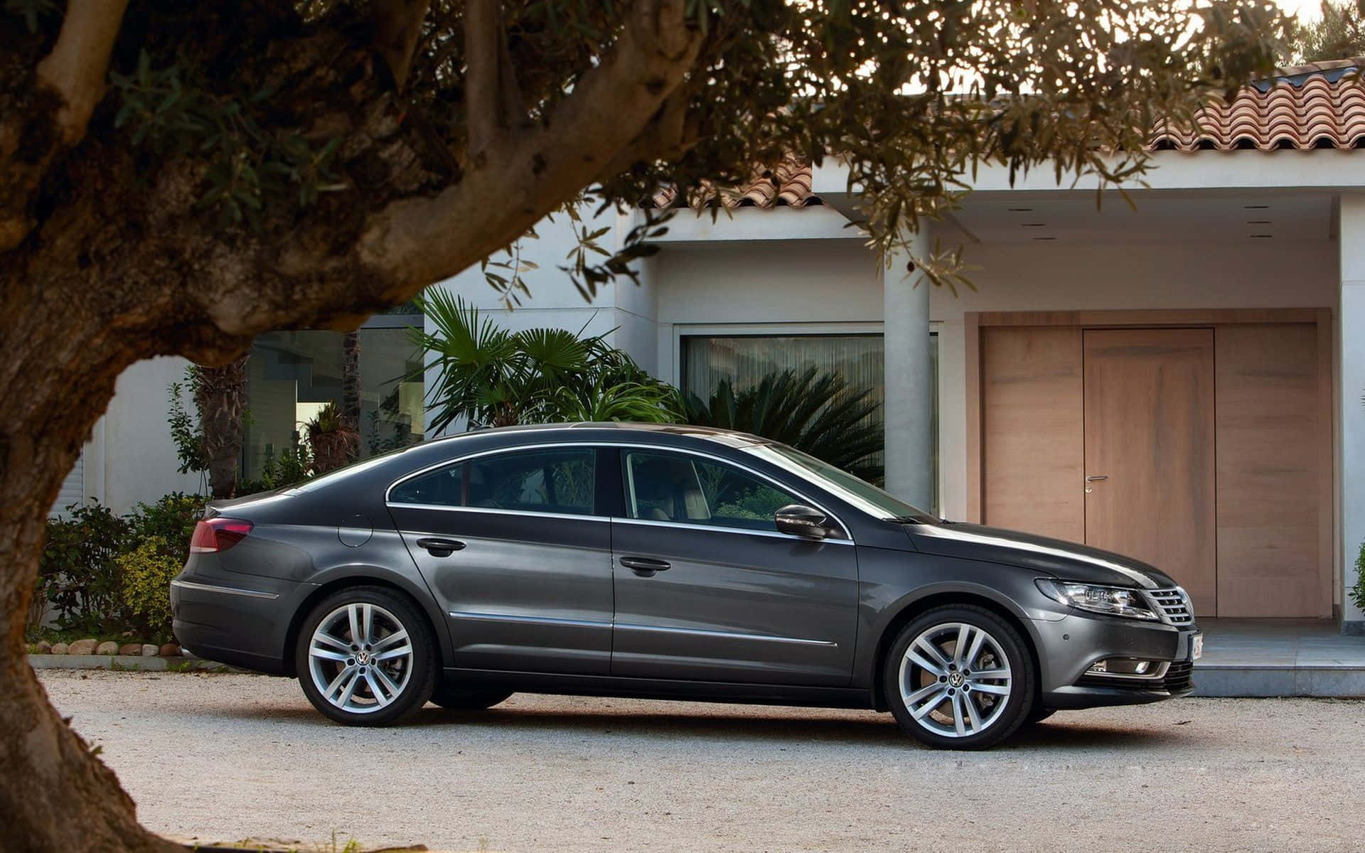 Volkswagen Passat CC, gray, leafy tree, Full HD Desktop Wallpaper