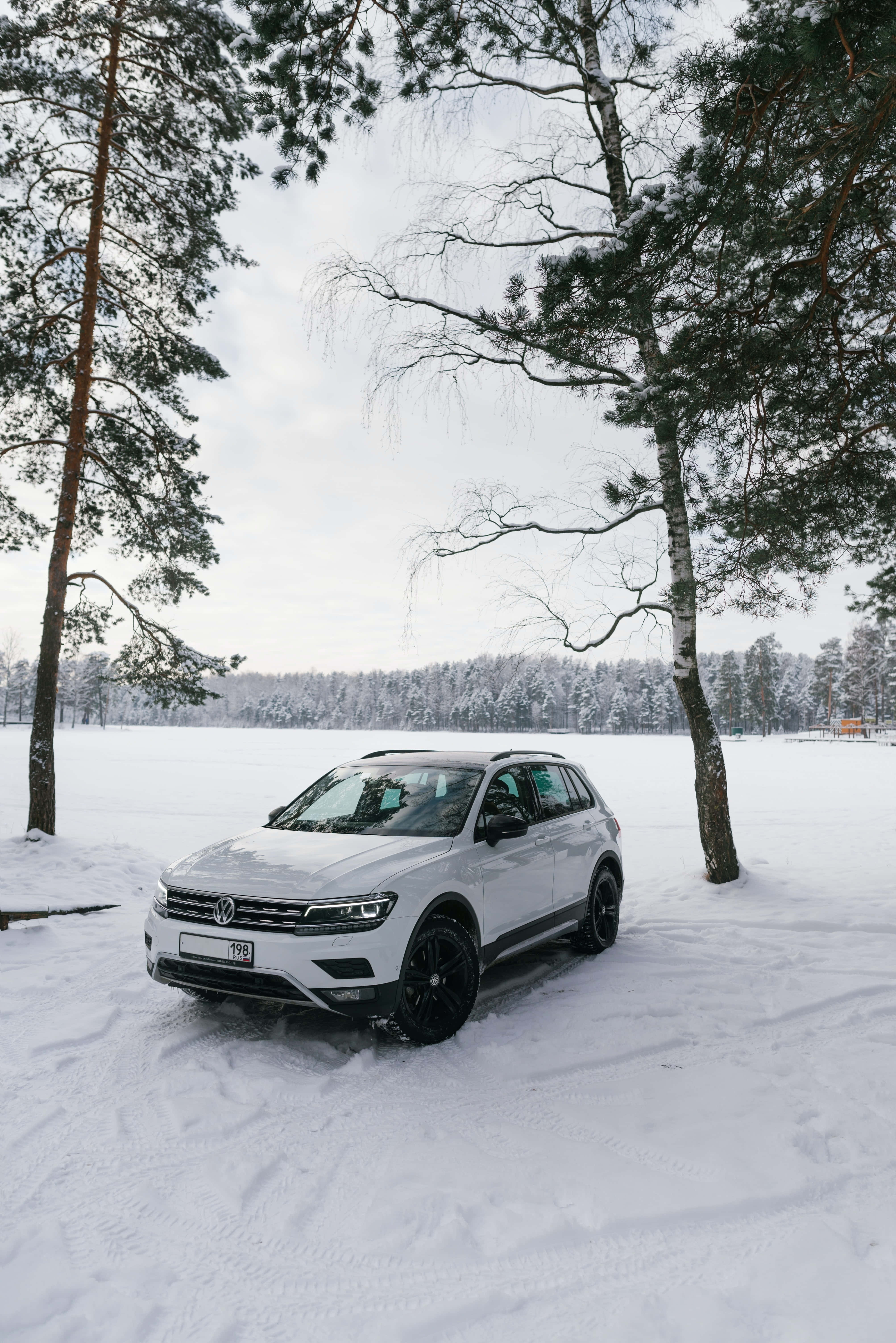 Volkswagen Tiguan, white SUV, black wheels, 5K Phone Wallpaper