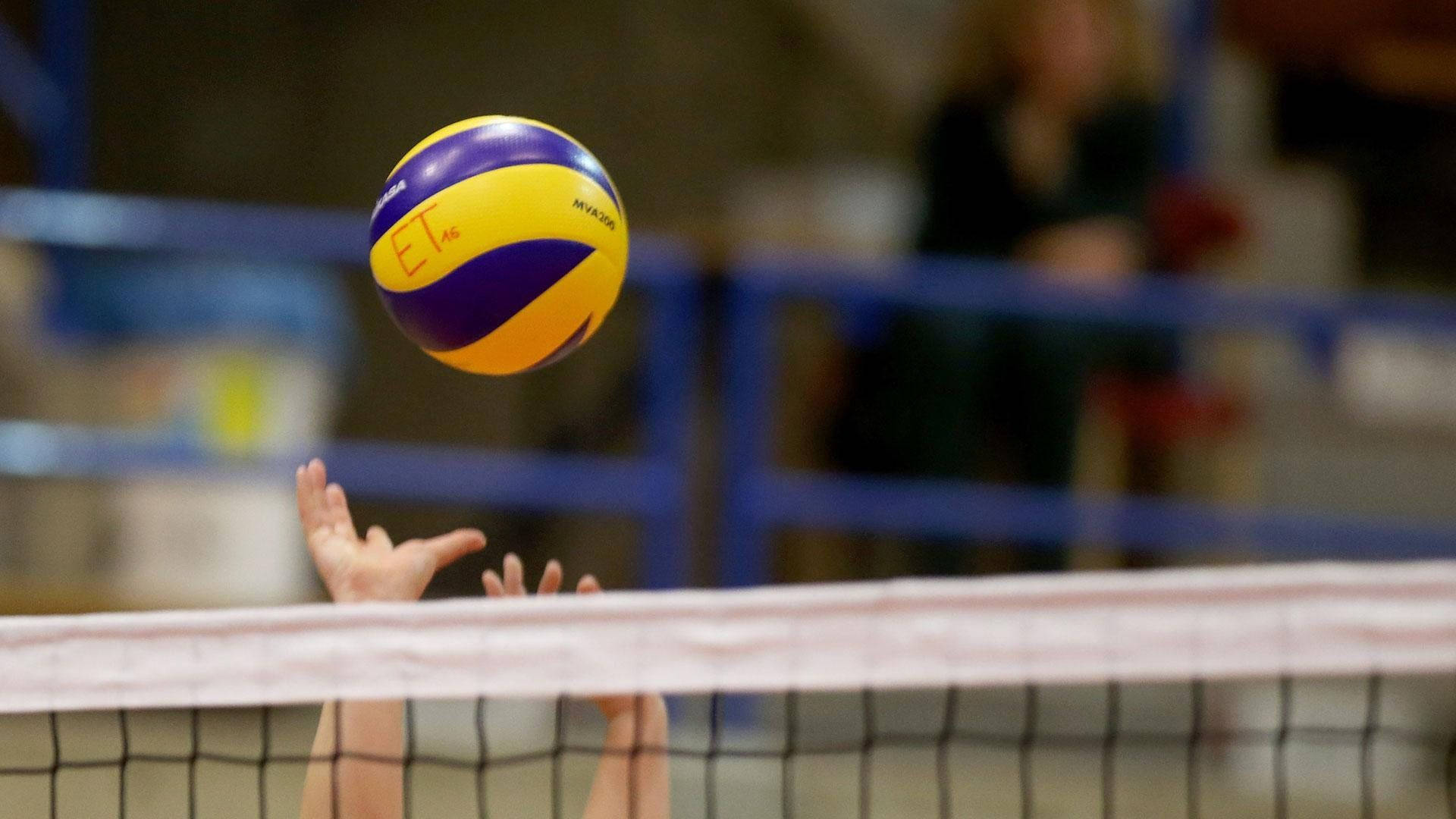 yellow and purple volleyball, mid-air, net, Full HD Desktop Wallpaper