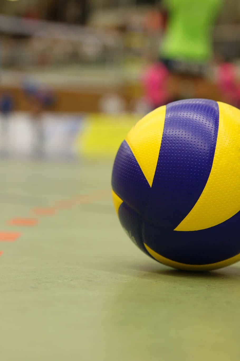 blue and yellow volleyball, green indoor court, blurred players, HD Phone Wallpaper