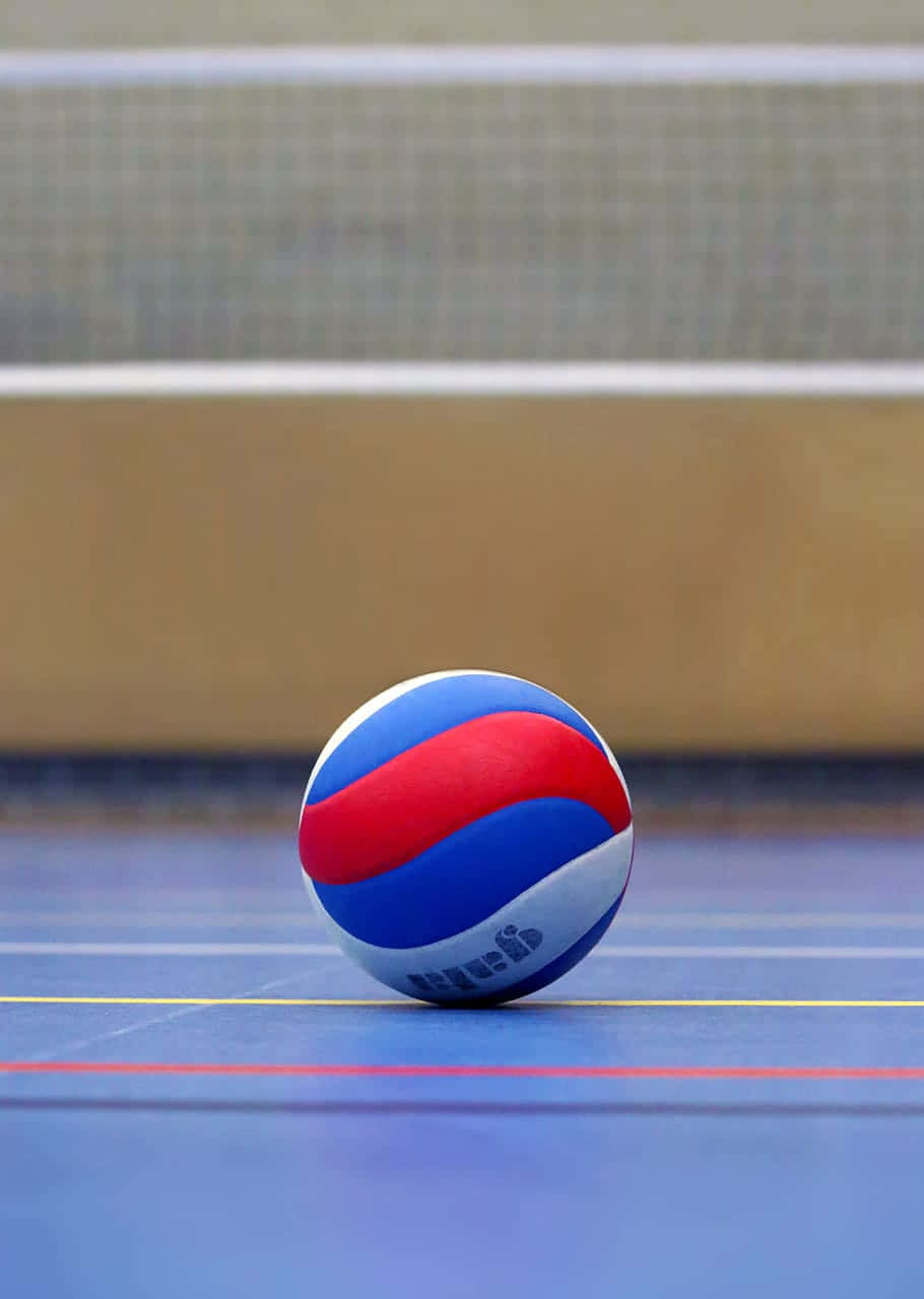Volleyball Ball, red blue and white, blue indoor court, SD Phone Wallpaper