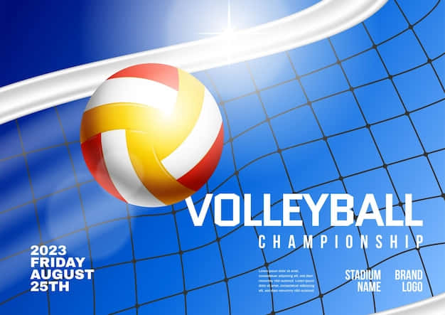 volleyball ball, red yellow and white panels, blue net, SD Desktop Wallpaper