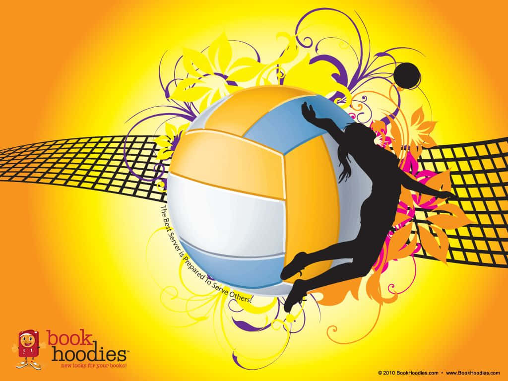 Volleyball Ball, grass, beach, SD Desktop Wallpaper