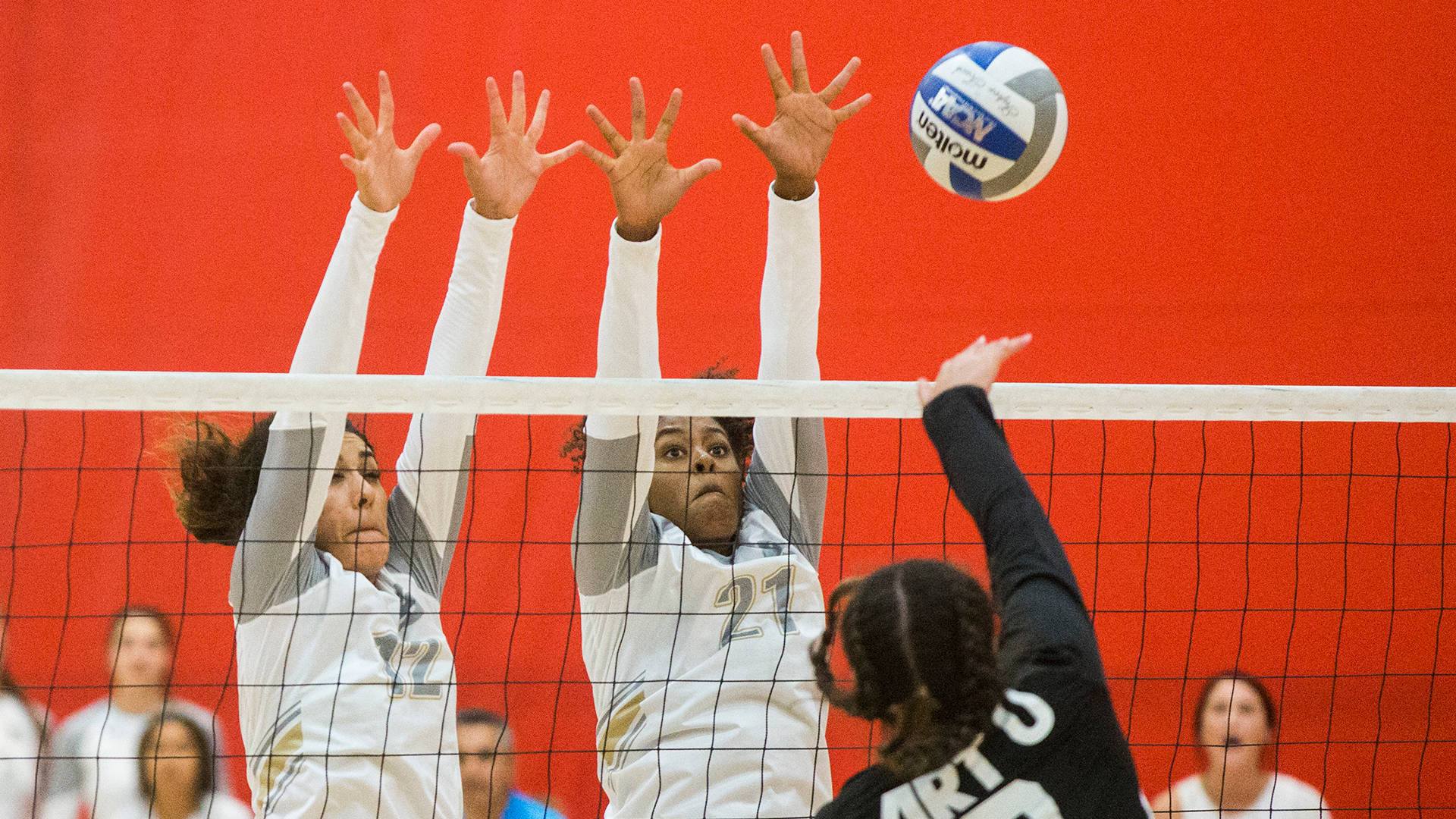 volleyball laptop, volleyball players, leap at the net, Full HD Desktop Wallpaper