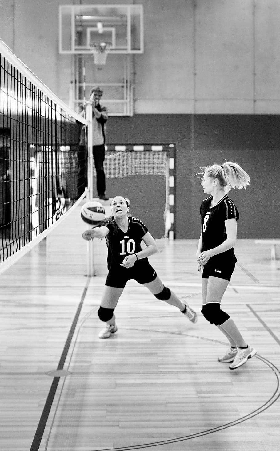 Volleyball Laptop, female volleyball players, black uniforms, HD Phone Wallpaper