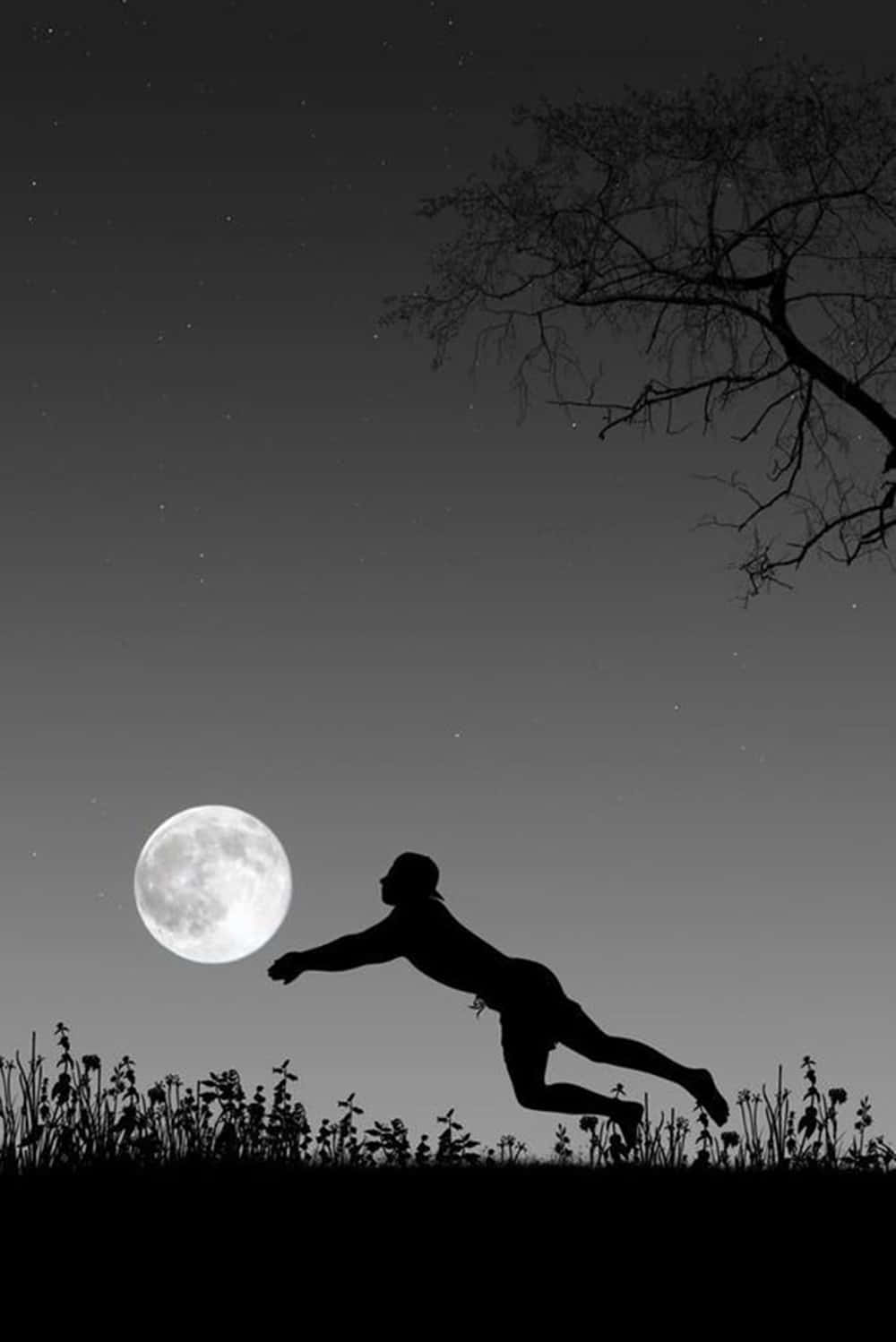 silhouette, full moon, starry night sky, HD Phone Wallpaper