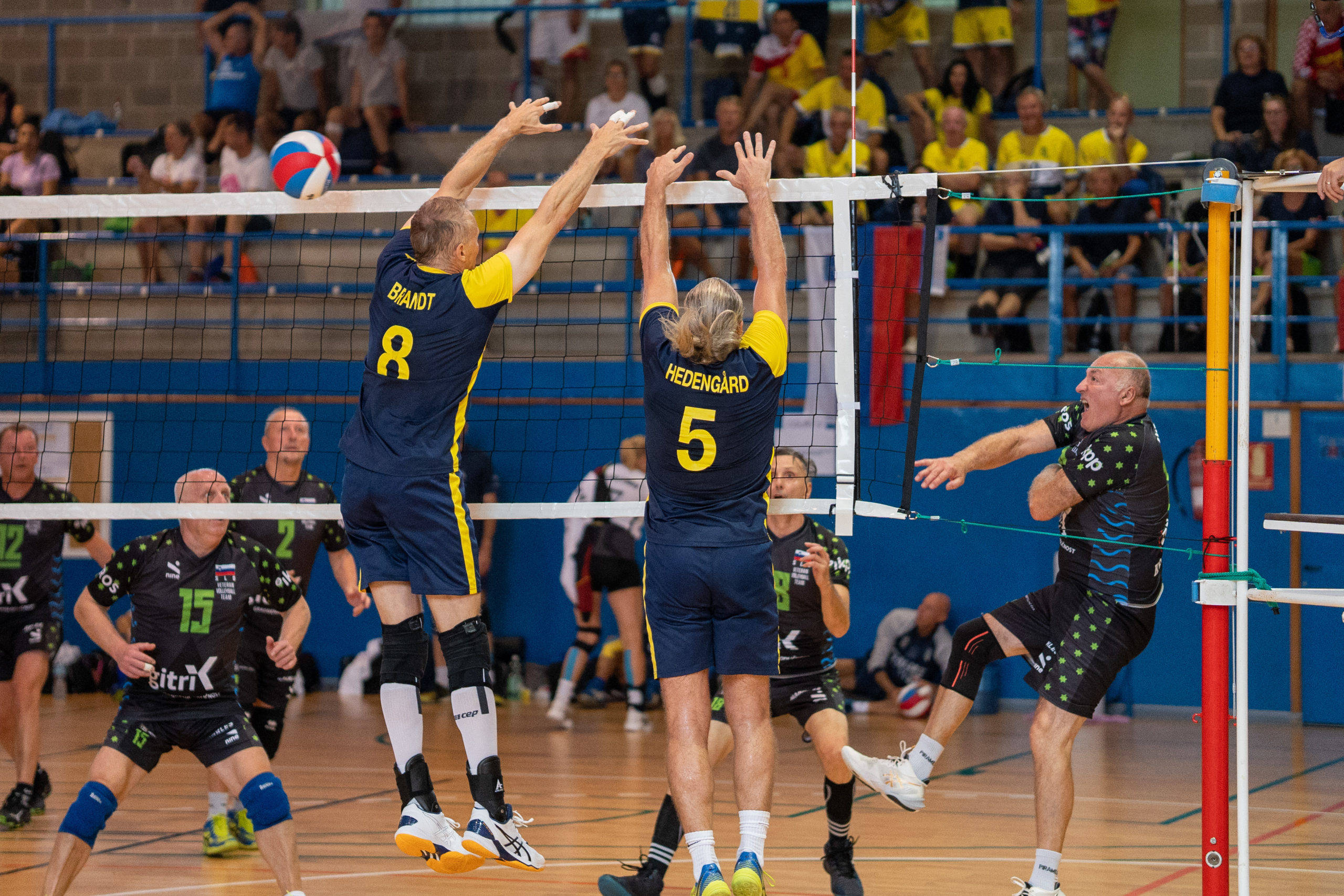 indoor volleyball, blue jerseys, leap to block, 2K Desktop Wallpaper