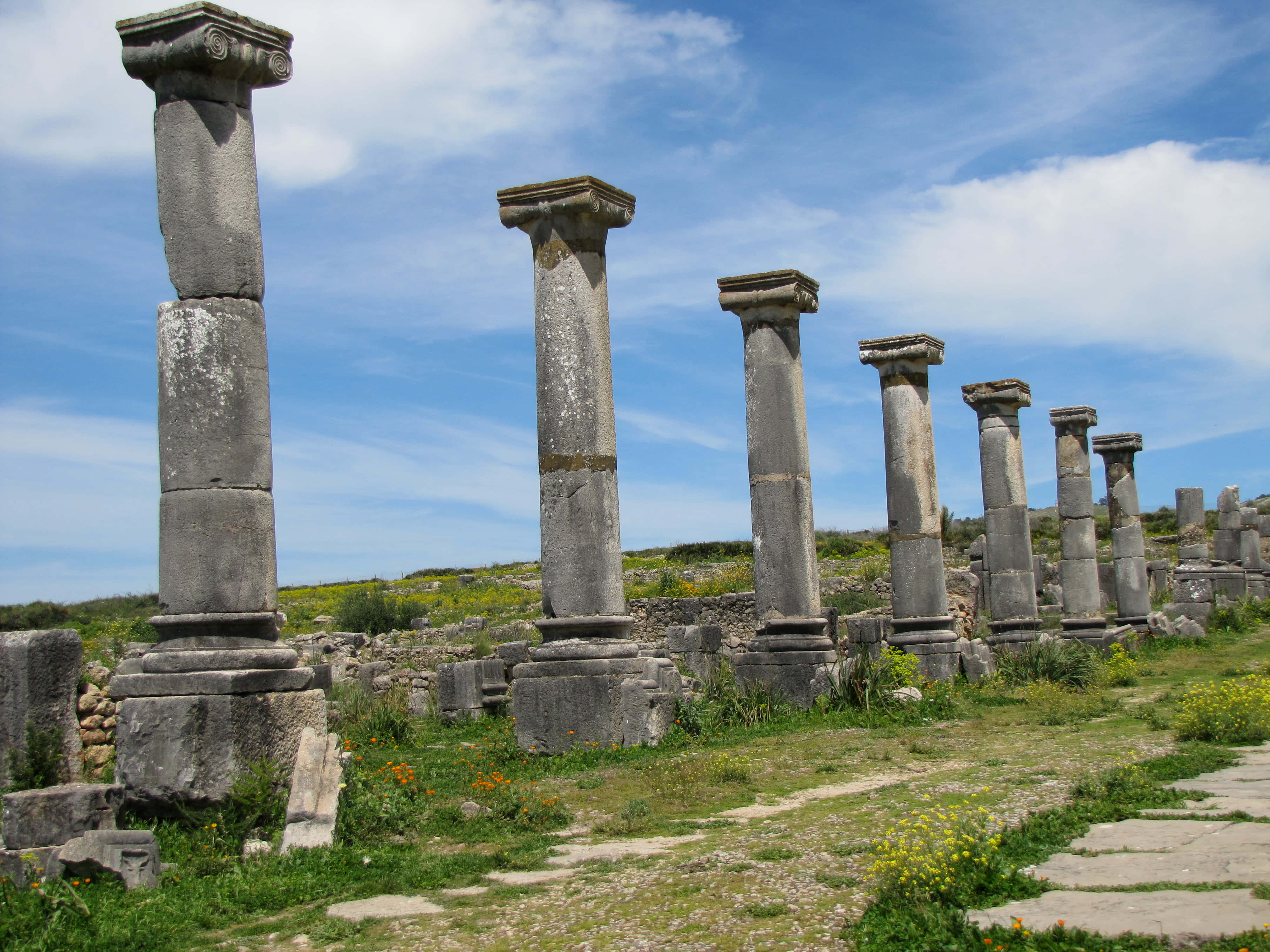 Volubilis, columns, grass, 4K Desktop Wallpaper