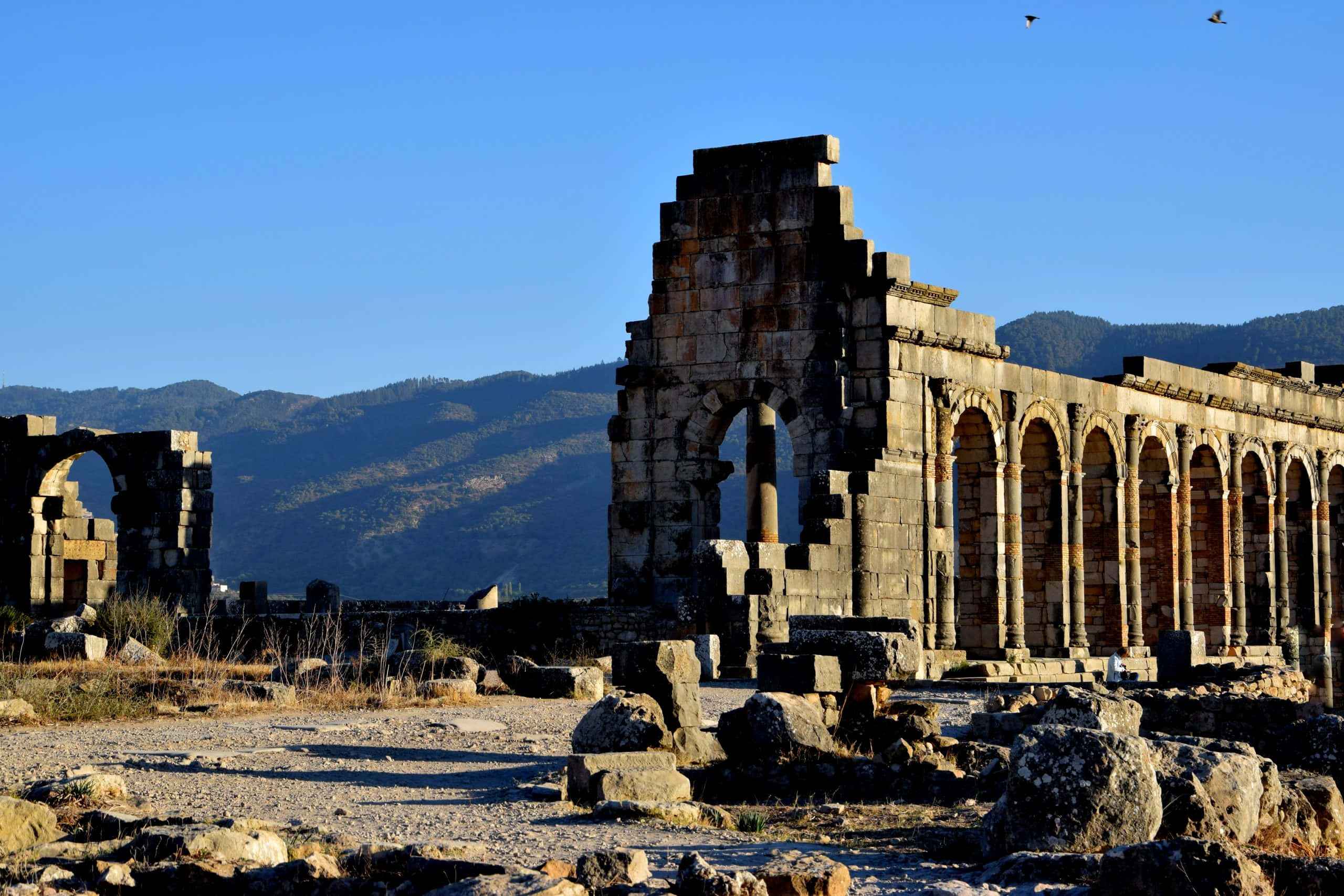 Volubilis, blue skies, mountains, 2K Desktop Wallpaper