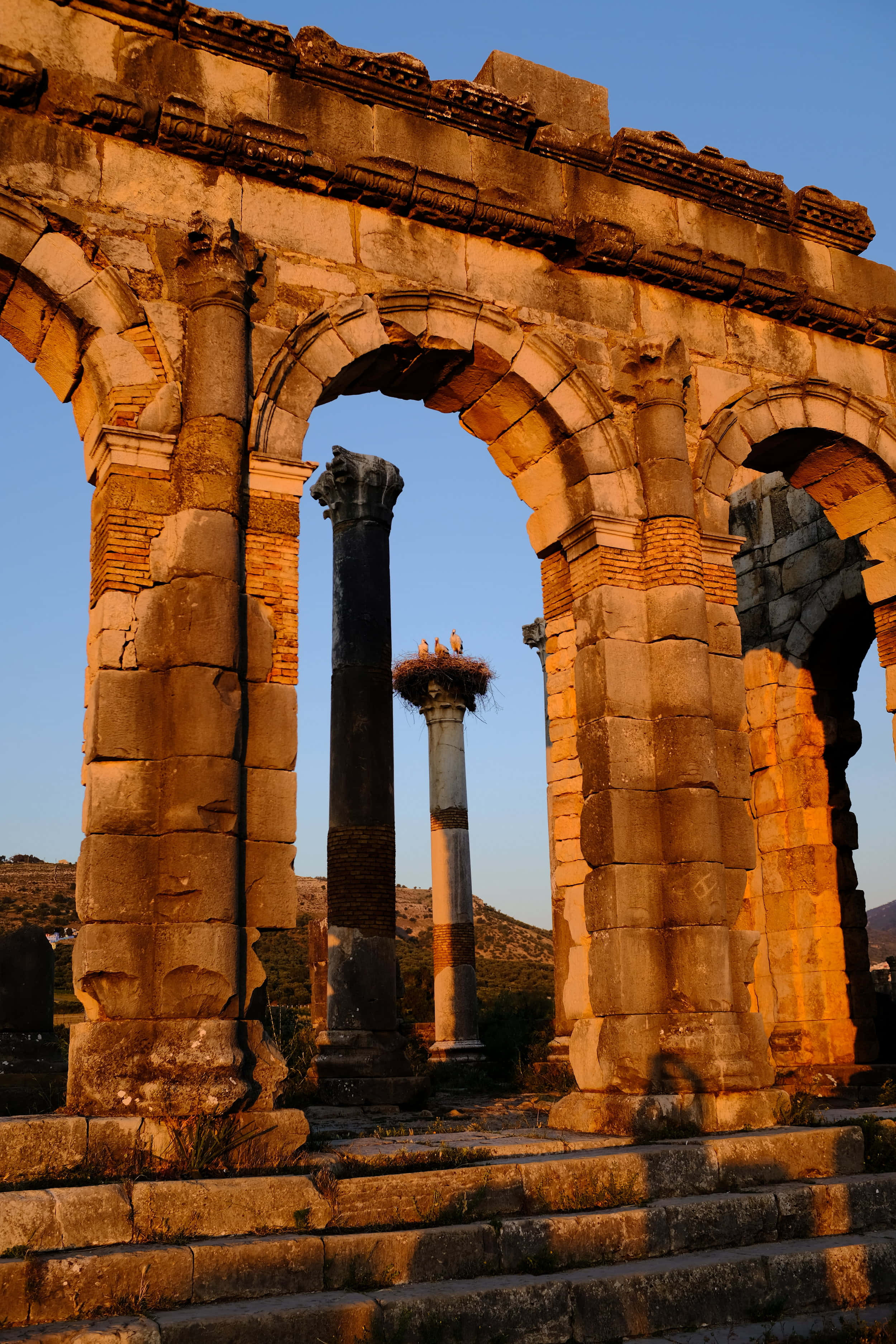 Volubilis, columns, arch, 2K Phone Wallpaper