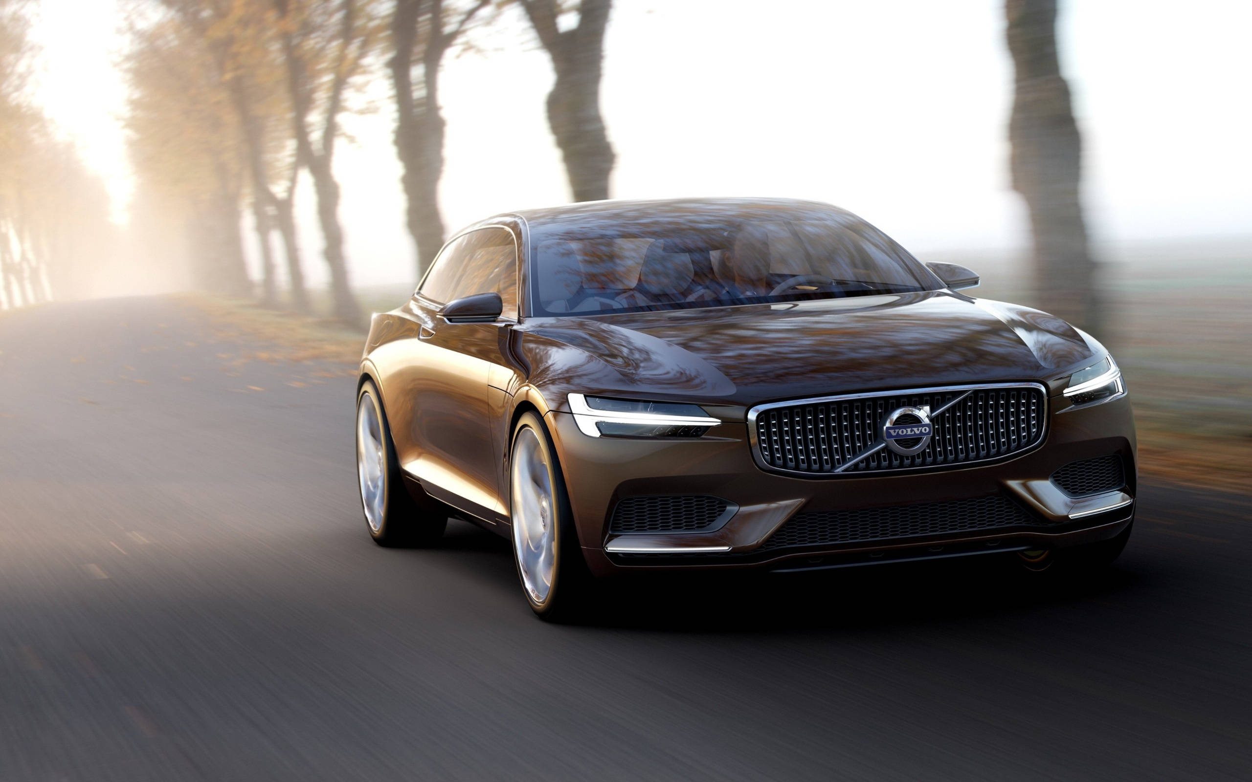 Volvo S90, brown, misty tree-lined road, 2K Desktop Wallpaper