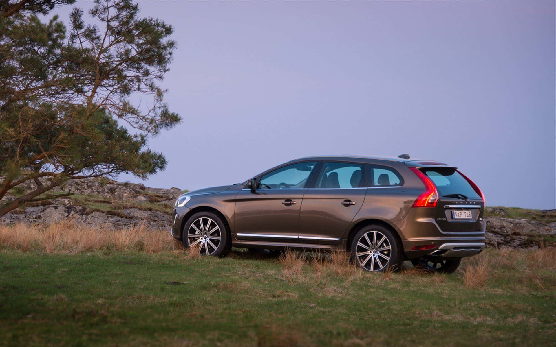 Volvo XC60, brown, grassy terrain, Full HD Desktop Wallpaper
