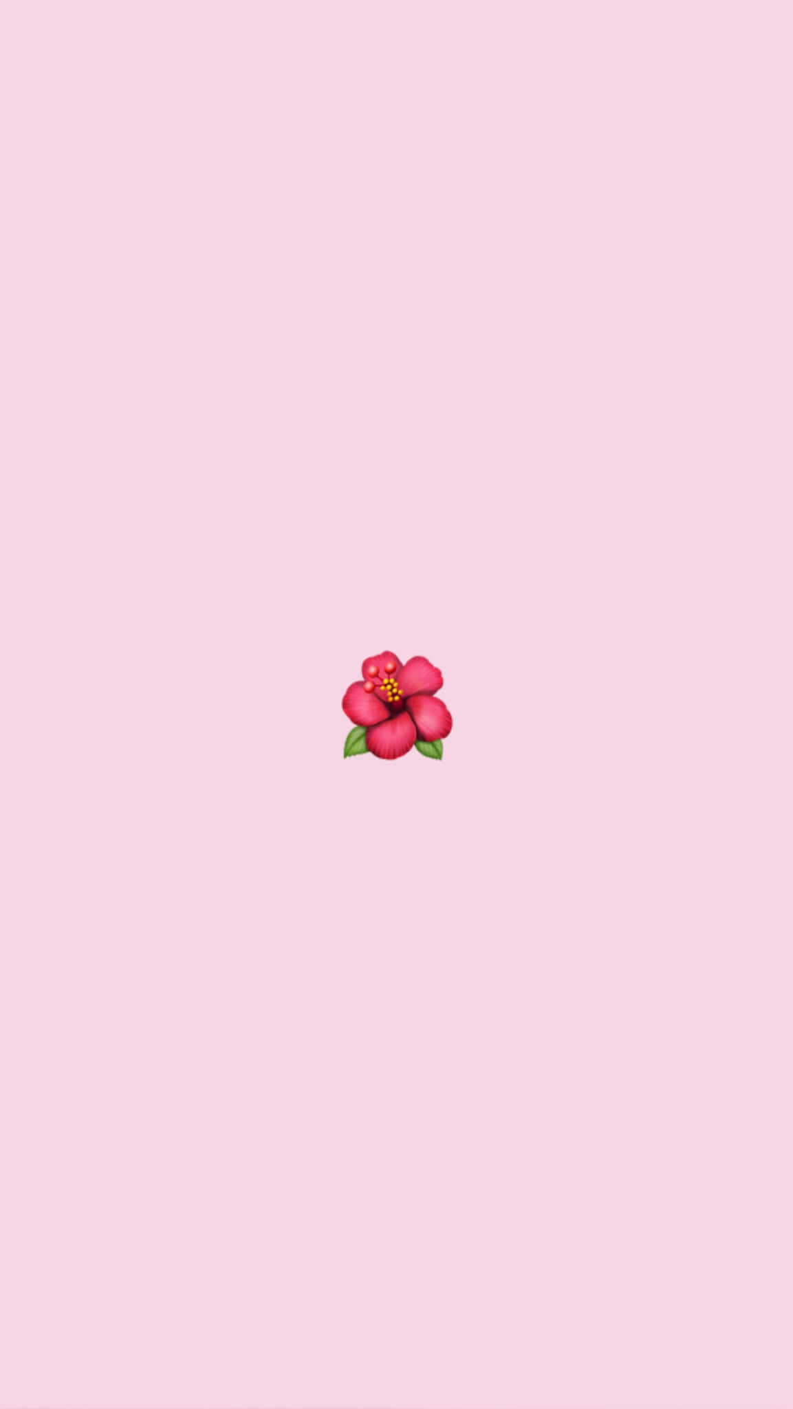 VSCO girl, pink flower, green leaves, Full HD Phone Wallpaper