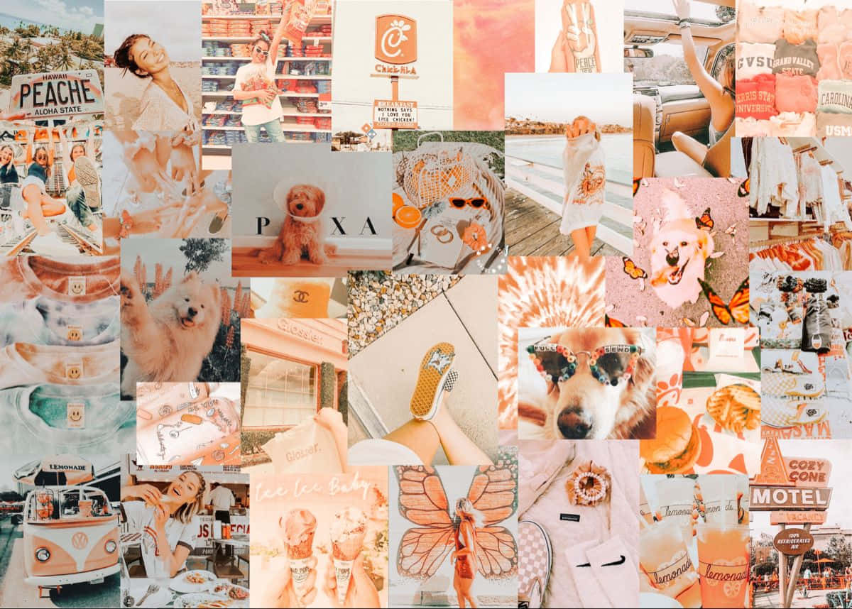 Vsco Laptop, pastel-toned, dogs, SD Desktop Wallpaper