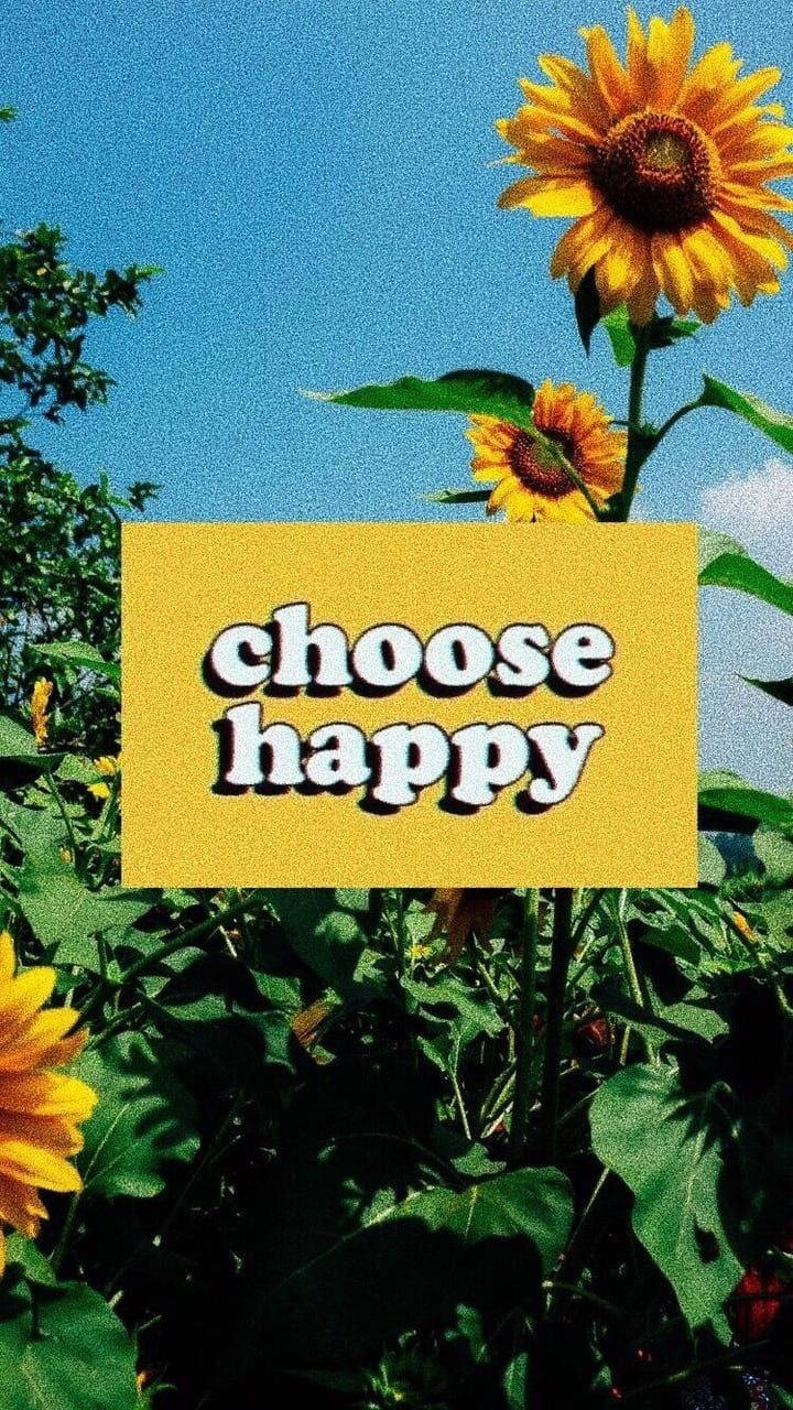 VSCO, choose happy, sunflowers, HD Phone Wallpaper