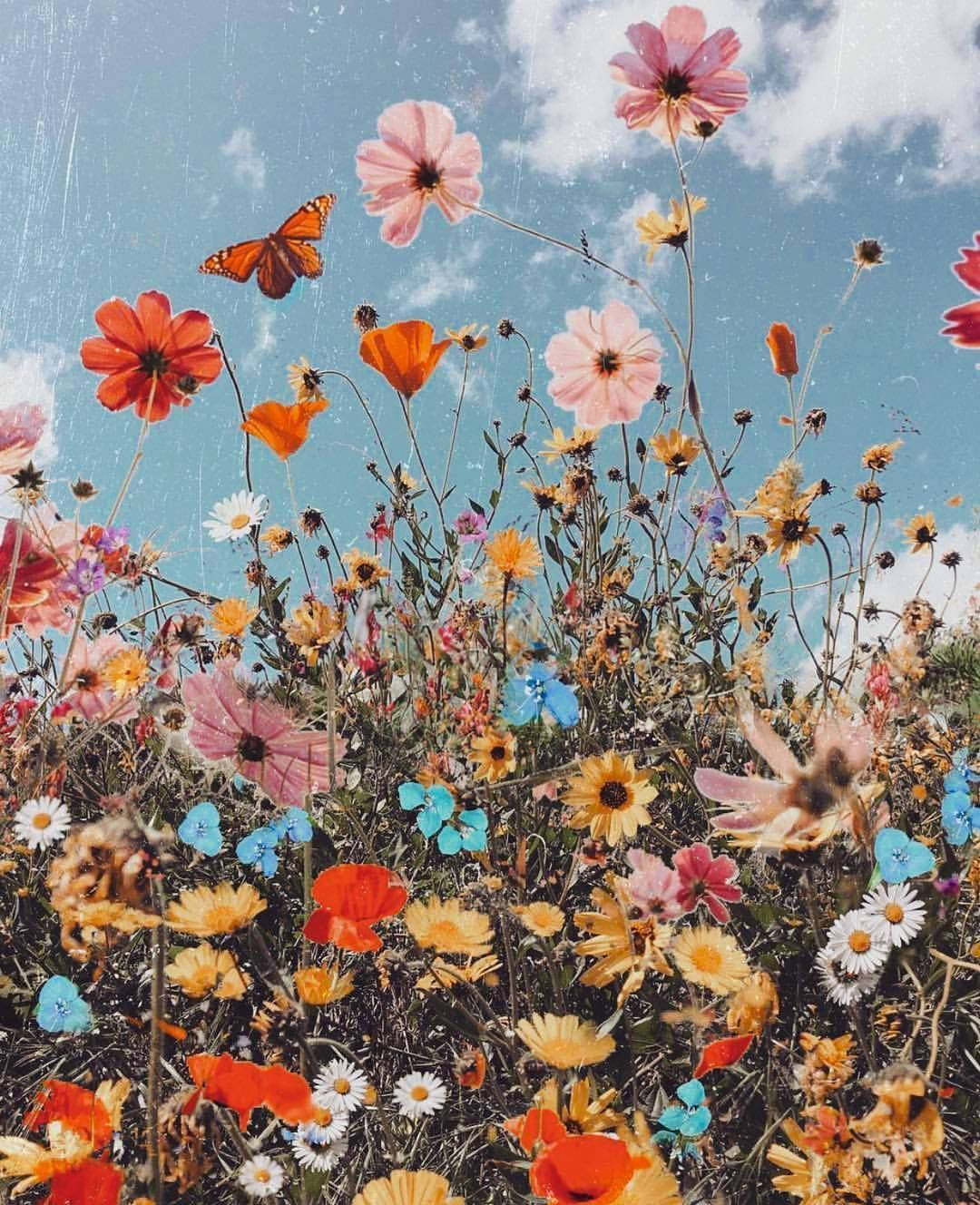 Hippie Aesthetic, Vsco, wildflowers, HD Phone Wallpaper