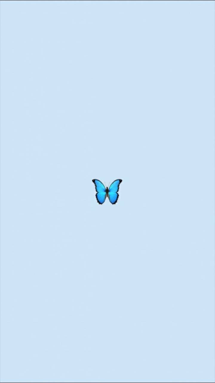 pastel blue butterfly, soft pastel blue gradient background, Vsco, HD Phone Wallpaper