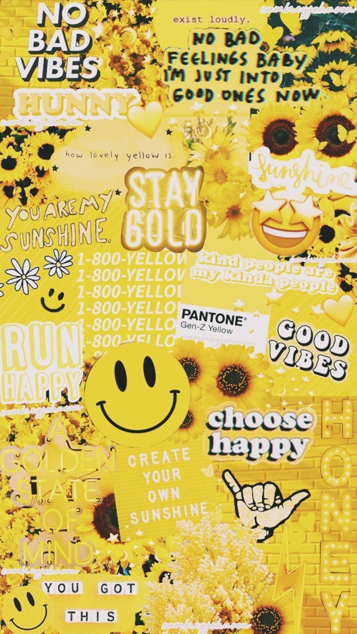 Stay Gold Aesthetic, VSCO Collage, sunflowers, 2K Phone Wallpaper