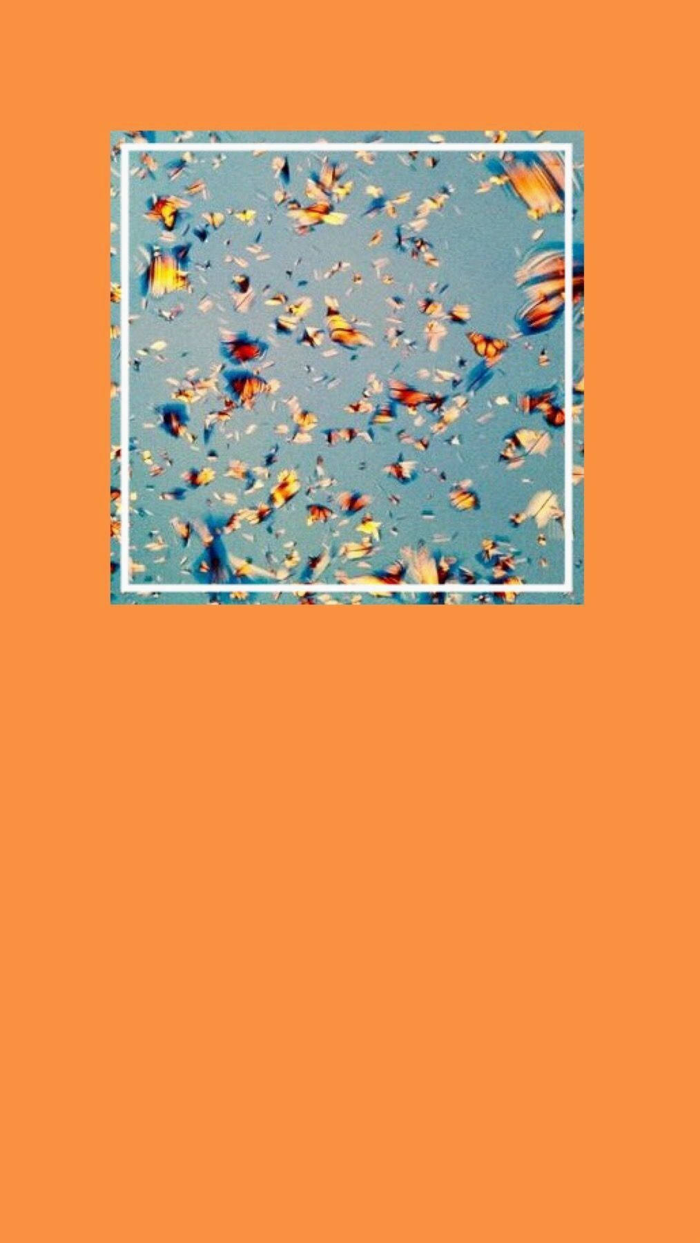 yellow orange, VSCO Cover, colorful butterfly fragments, HD Phone Wallpaper