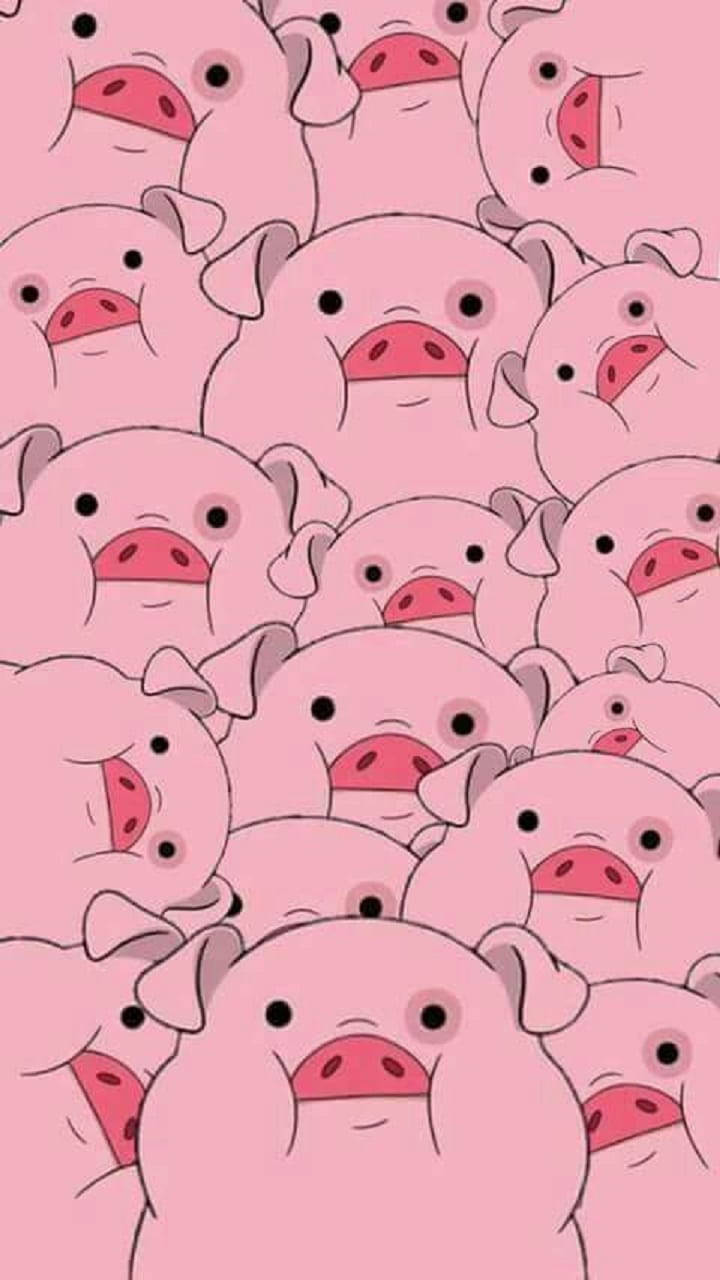 Waddles, pink skin, pink snouts, HD Phone Wallpaper