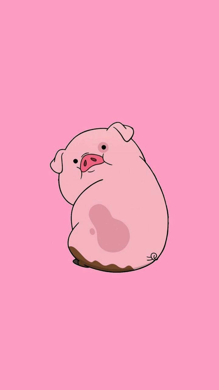 Waddles, pink snout, muddy feet, HD Phone Wallpaper