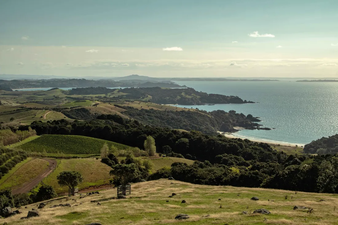 Waiheke Island