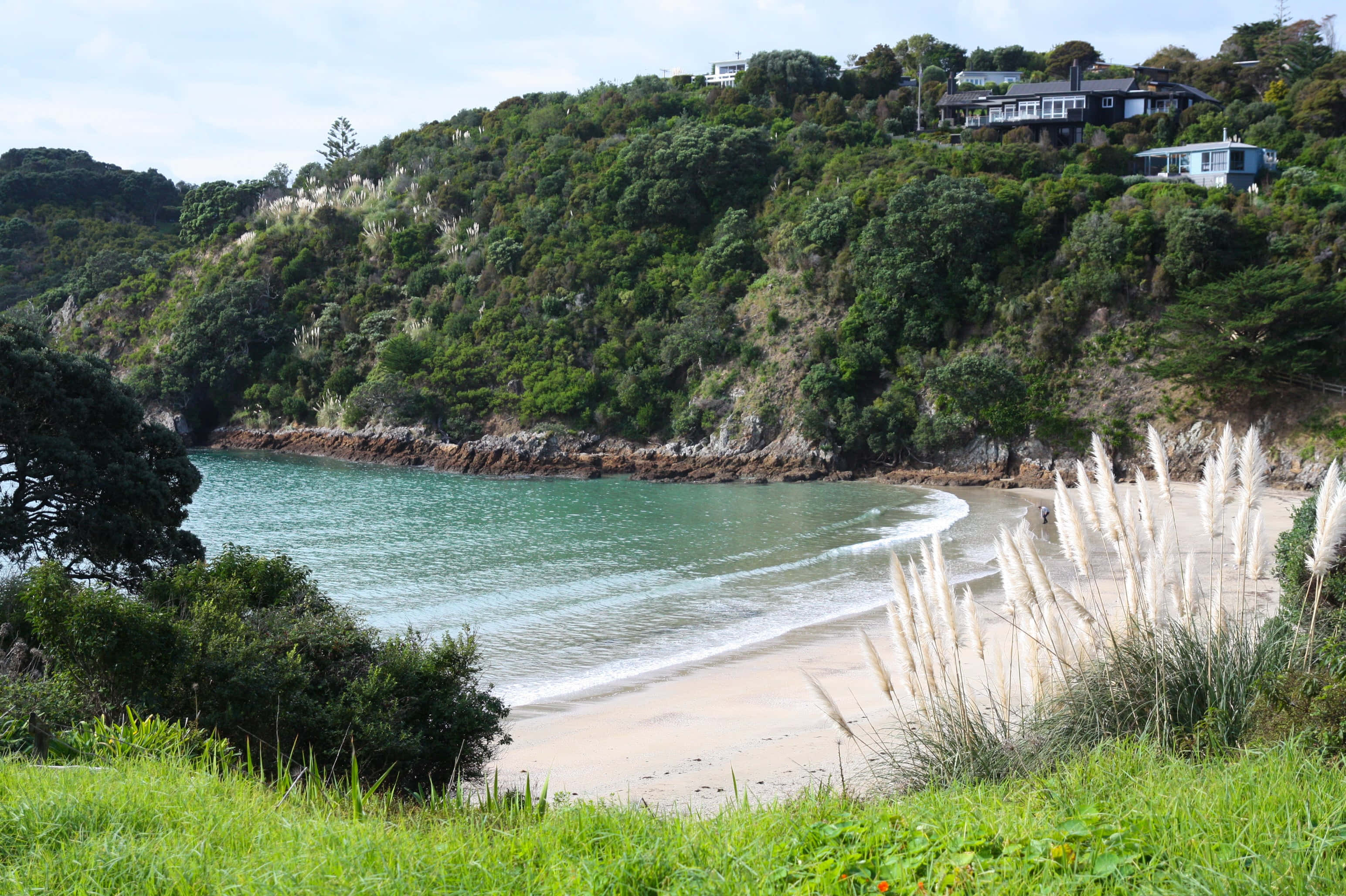 Waiheke Island, serene cove, turquoise water, 2K Desktop Wallpaper
