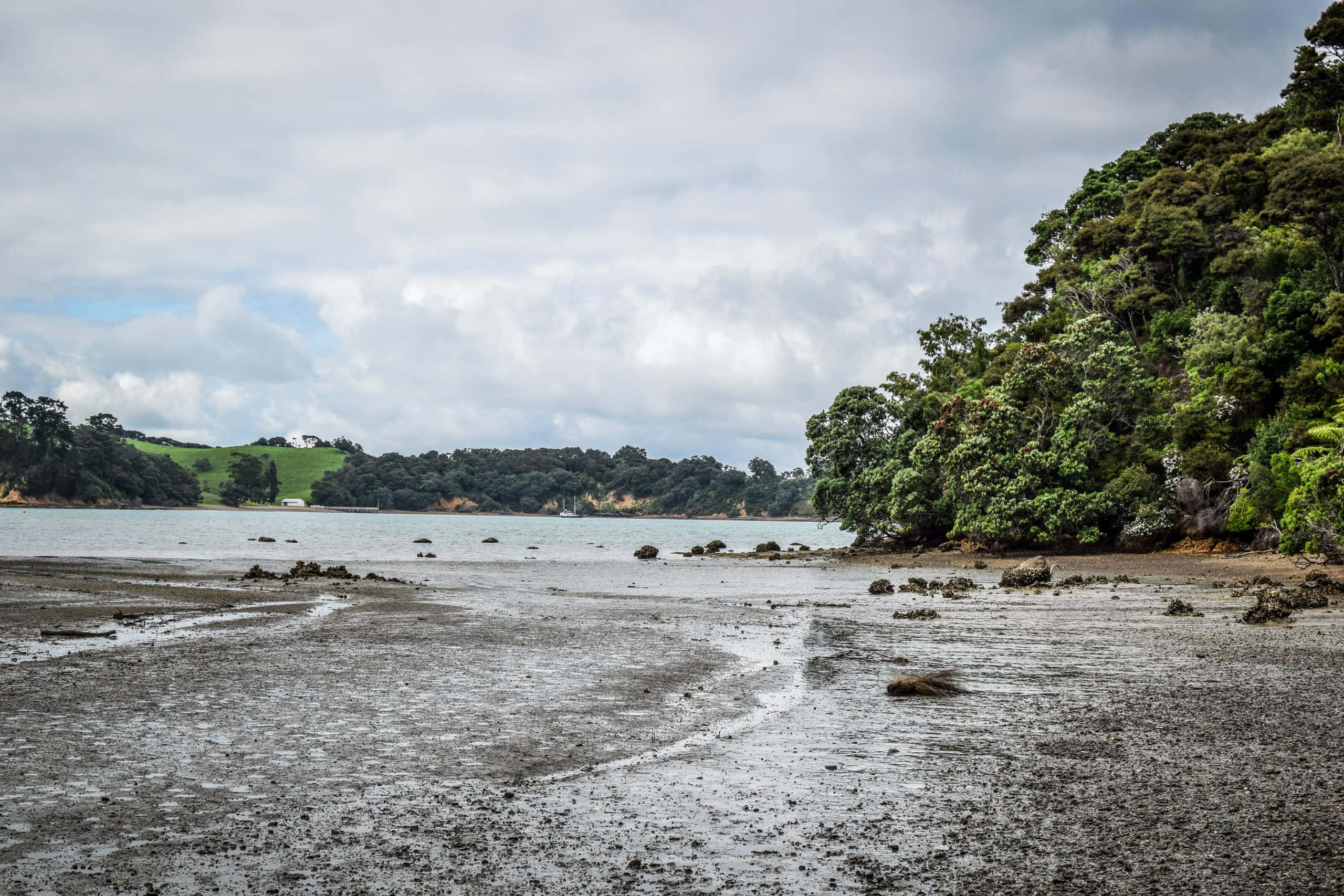 Waiheke Island, coastline, tidal flat, 2K Desktop Wallpaper