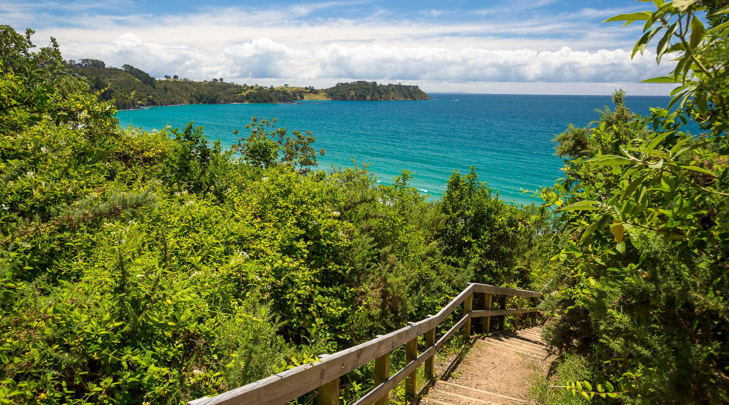 Waiheke Island, coastal pathway, wooden staircase, Full HD Desktop Wallpaper