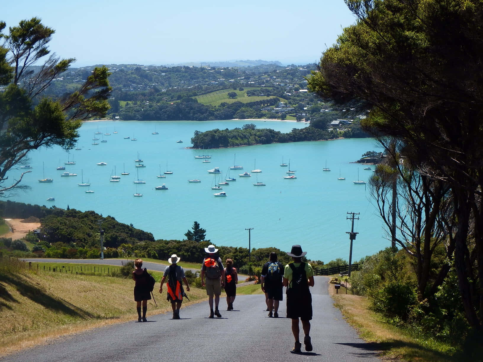 Waiheke Island, tree-lined road, turquoise bay, HD Desktop Wallpaper