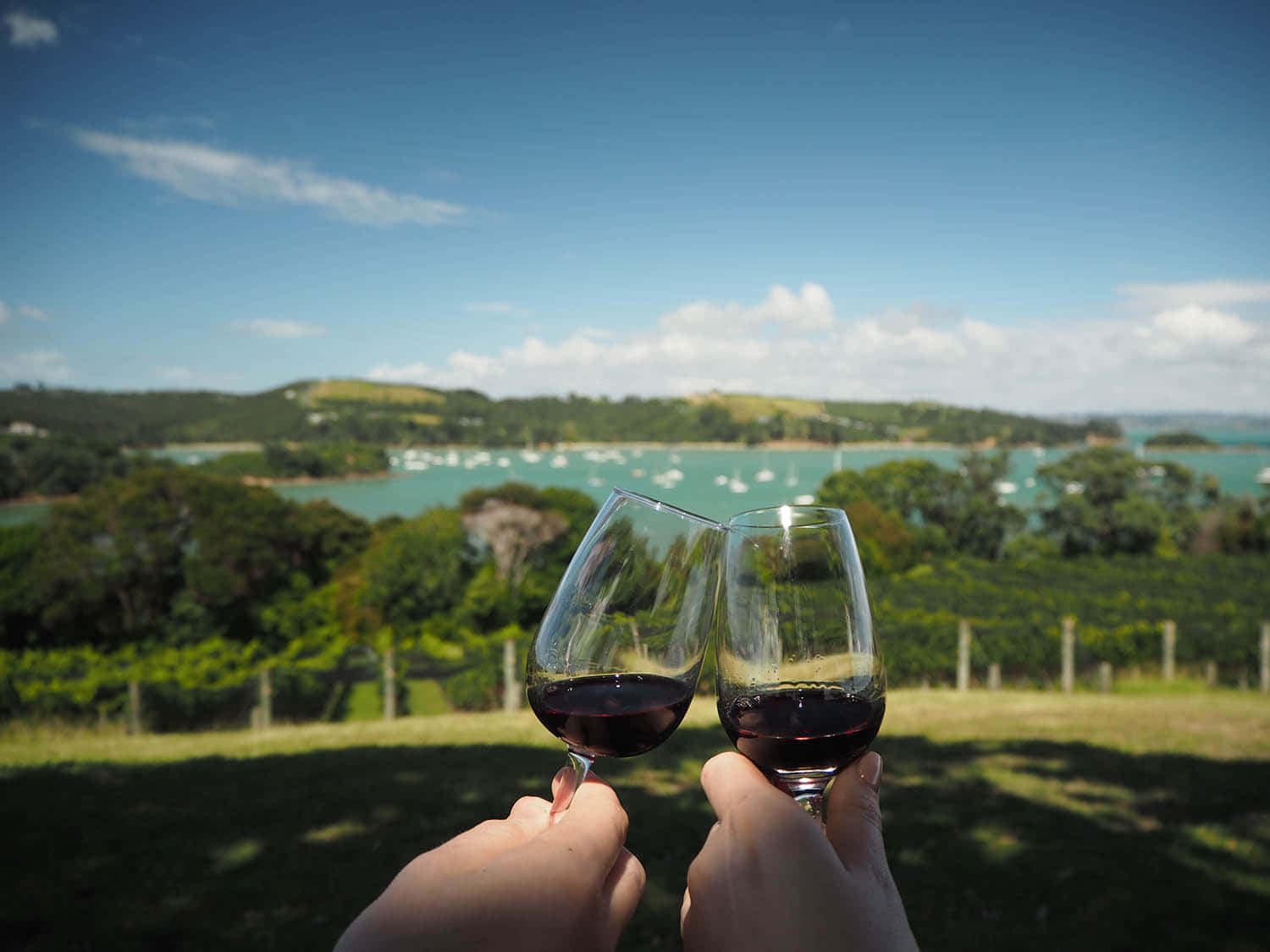 Waiheke, vineyard, turquoise bay, HD Desktop Wallpaper