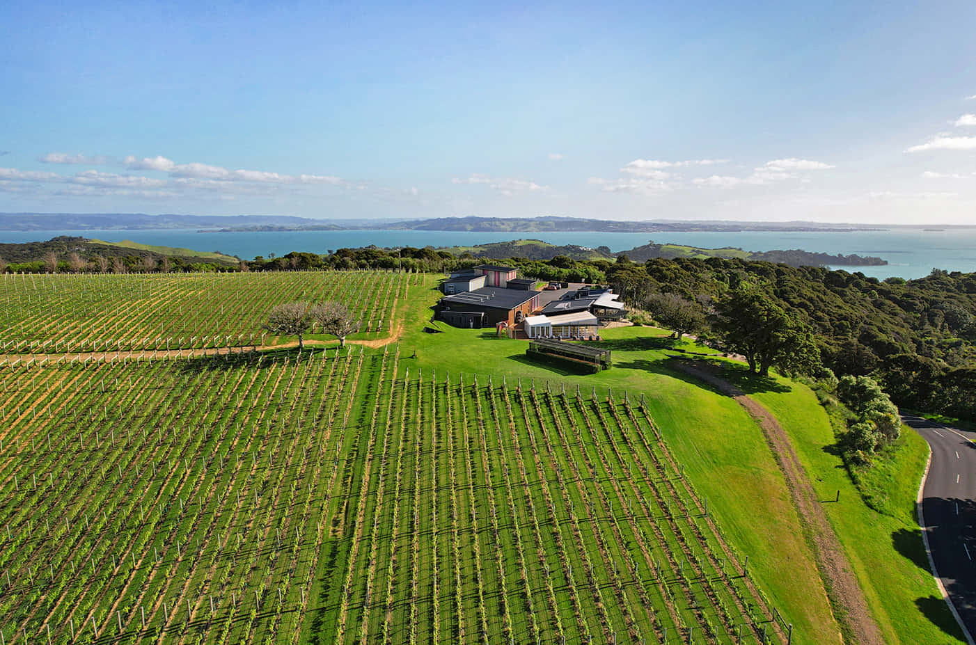 Waiheke Island, vineyards, coastal road, HD Desktop Wallpaper