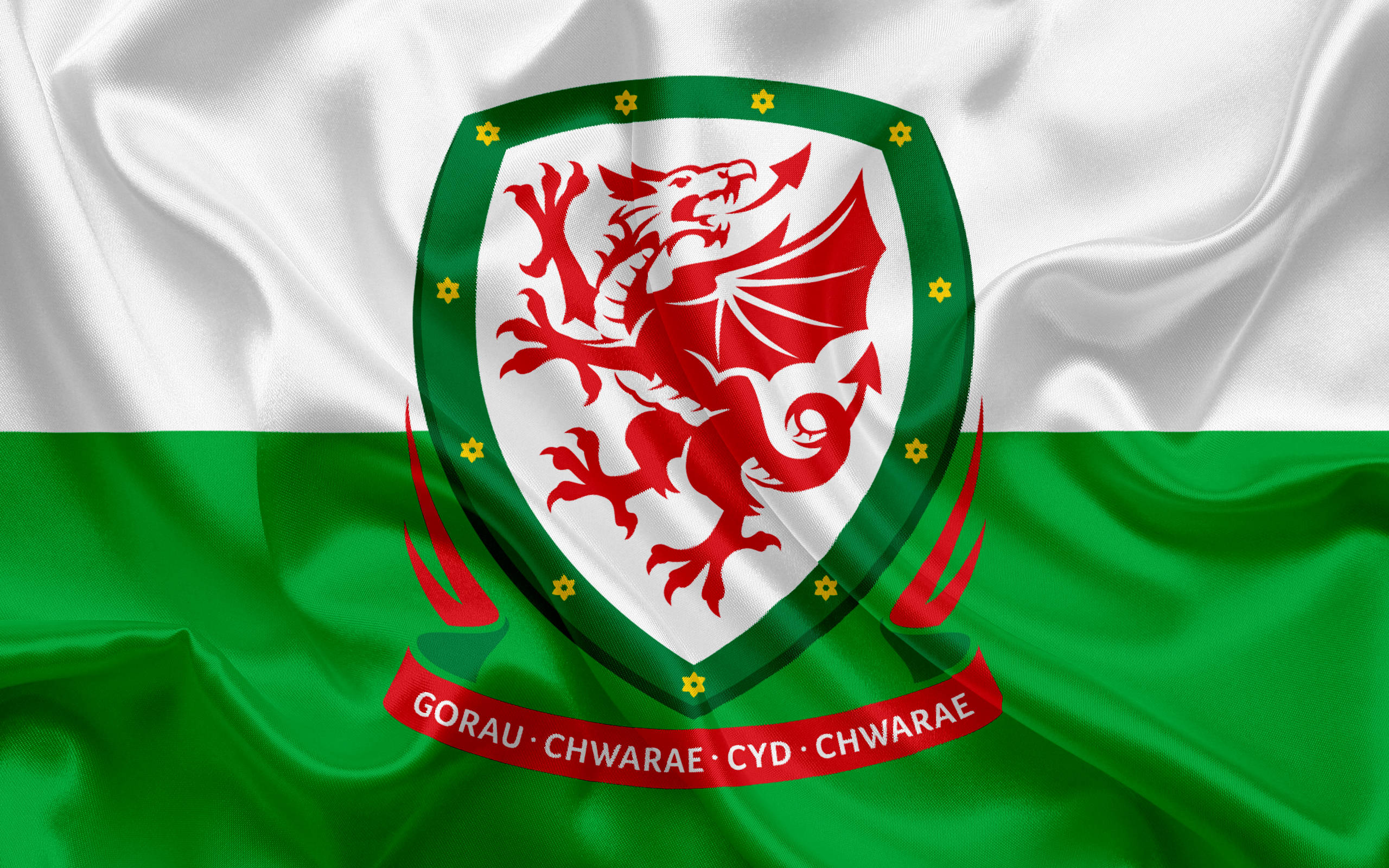 Wales National Football Team, red dragon, white and green field, 2K Desktop Wallpaper